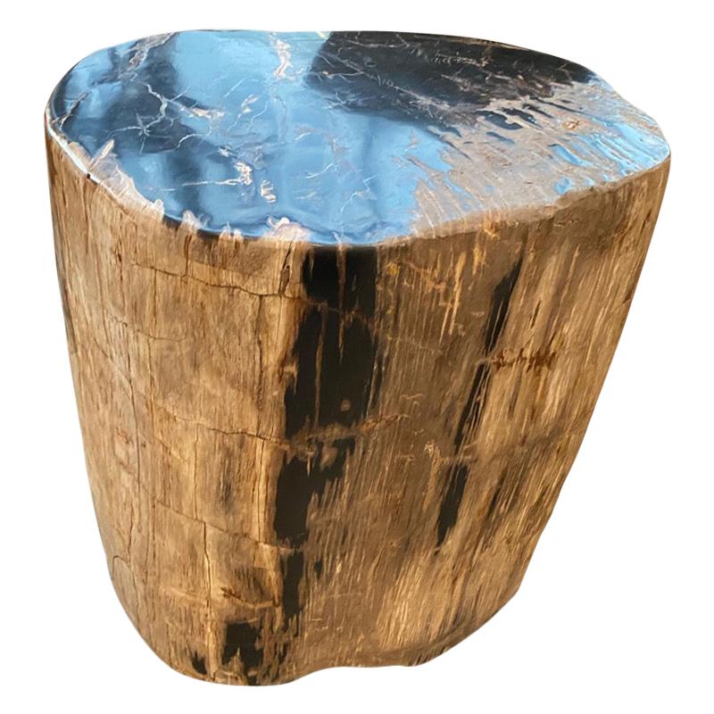 Andrianna Shamaris Earth Toned Petrified Wood Side Table