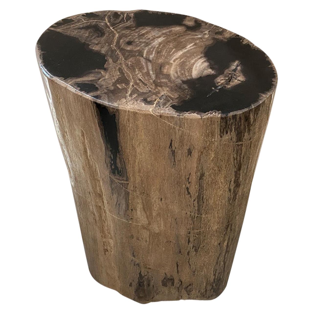 Andrianna Shamaris Earth Toned Petrified Wood Side Table