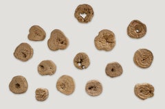 Andrianna Shamaris Erosion Teak Wood Art Sculptures