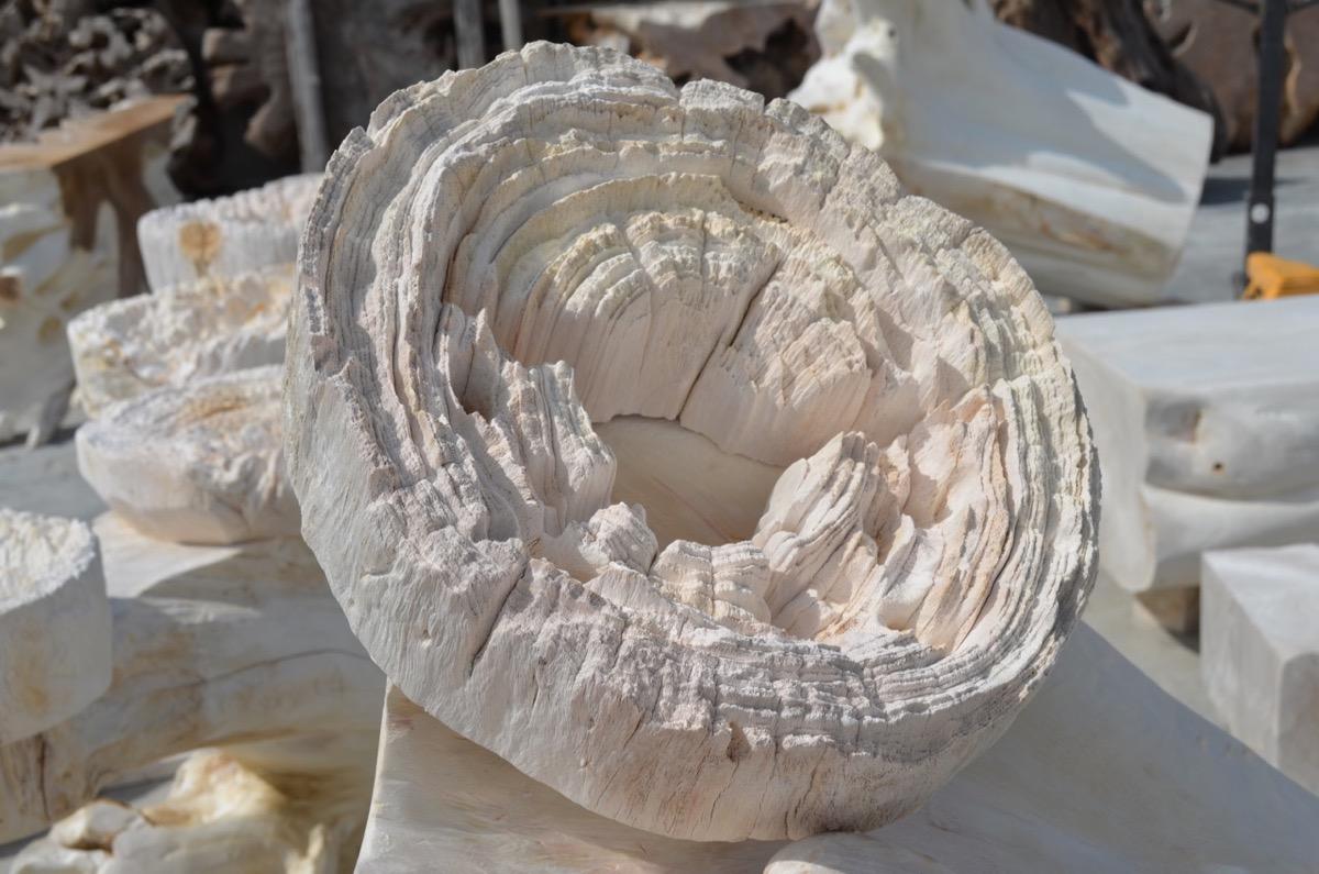 Andrianna Shamaris Erosión Teca Madera Arte Esculturas Siglo XXI y contemporáneo en venta