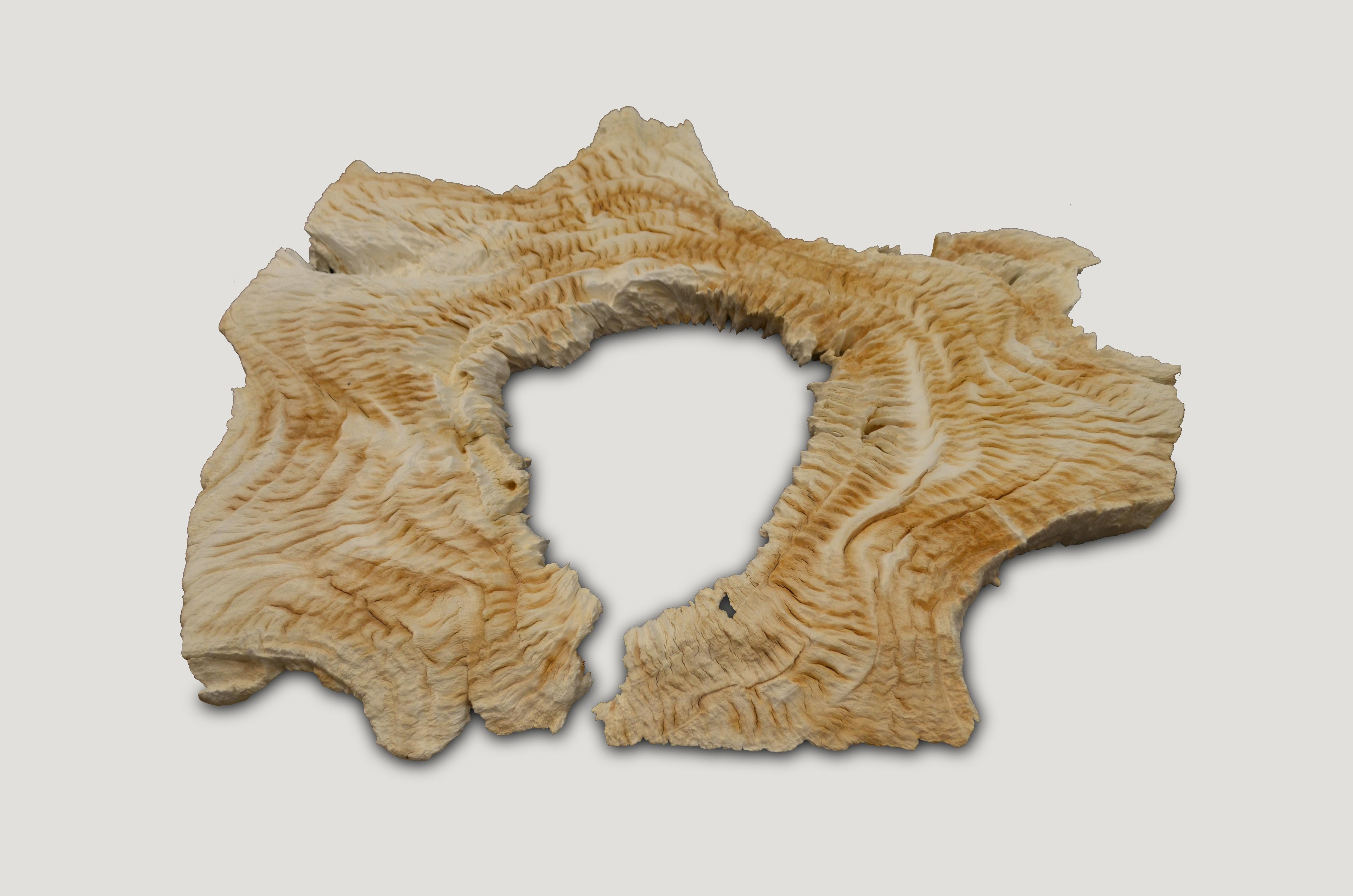 Stunningly beautiful, naturally formed single teak root sculpture. We found this deep in the jungle in Sumatra, nursed it back from the burning volcanoes, added bleach and left it to bake in the sun and sea salt air for over a year. Fabulous as an