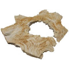 Andrianna Shamaris Erosion Teak Wood Sculpture