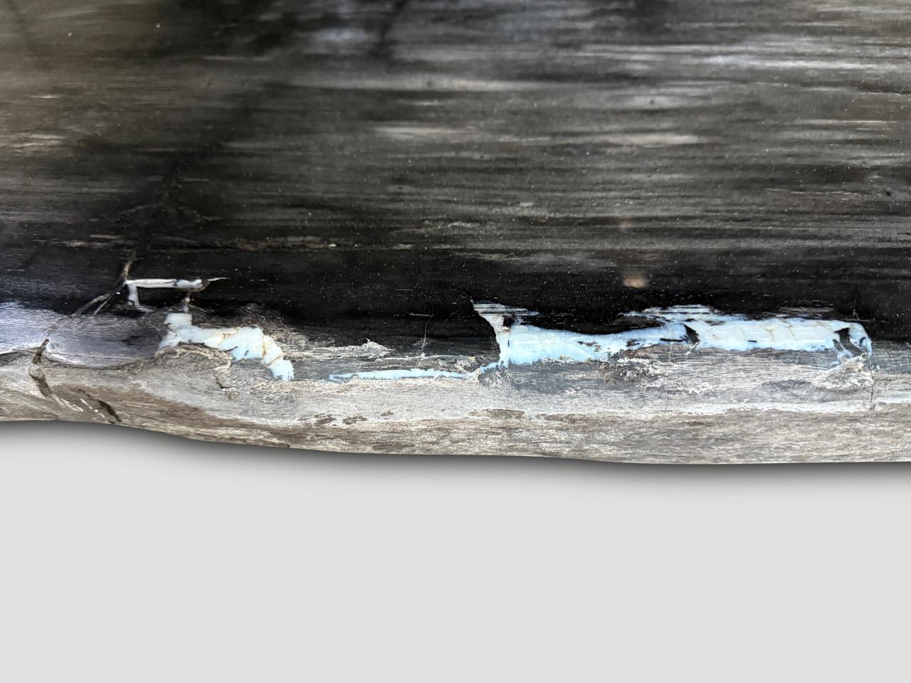 XXIe siècle et contemporain Table de salle à manger ou console exquise en bois pétrifié de haute qualité Andrianna Shamaris en vente