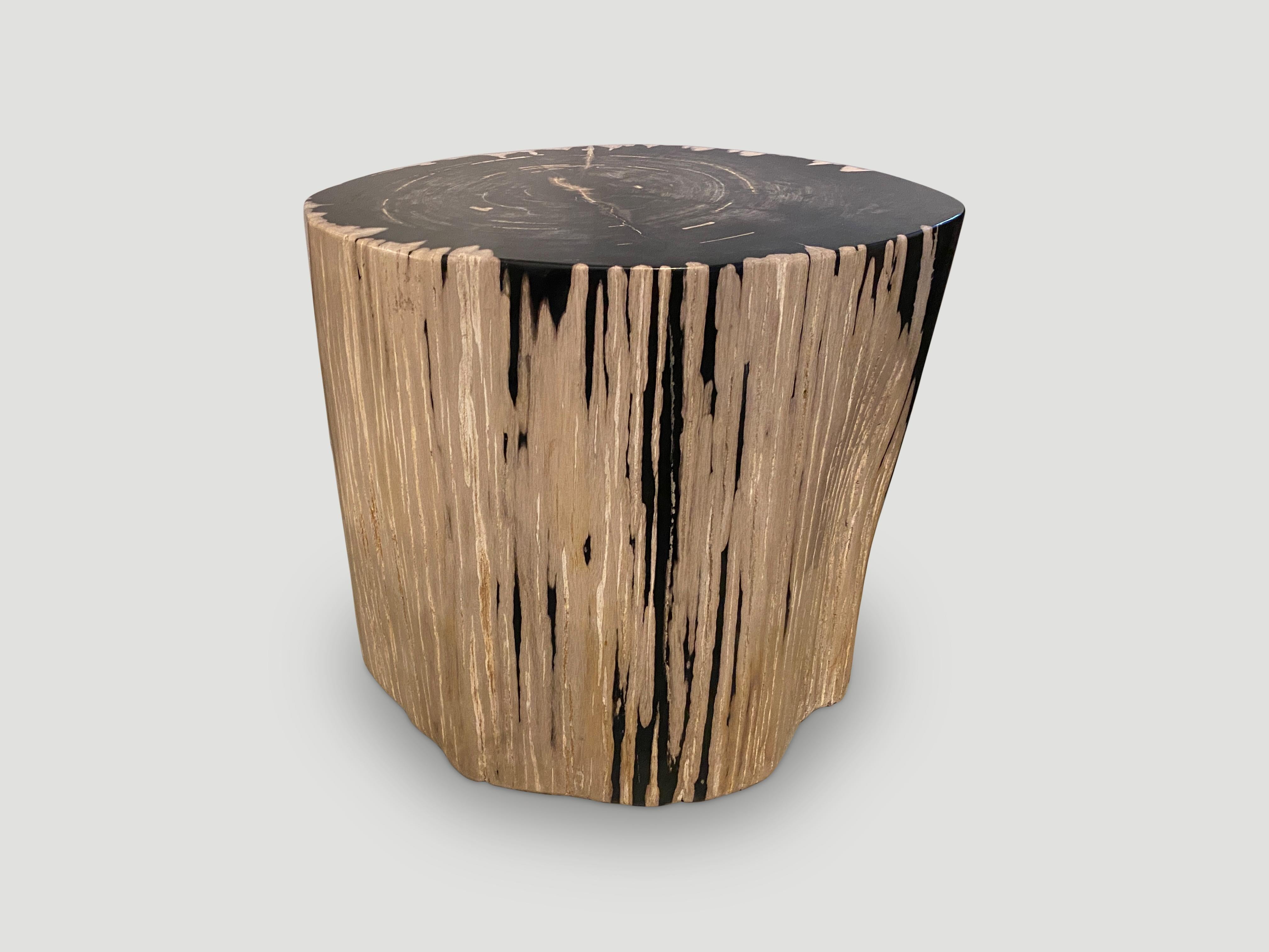 Impressive beautiful contrasting markings on this high quality super smooth, petrified wood side table. It’s fascinating how Mother Nature produces these stunning 40 million year old petrified teak logs with such contrasting colors and natural