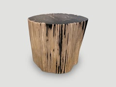 Andrianna Shamaris Exquisite High Quality Petrified Wood Side Table