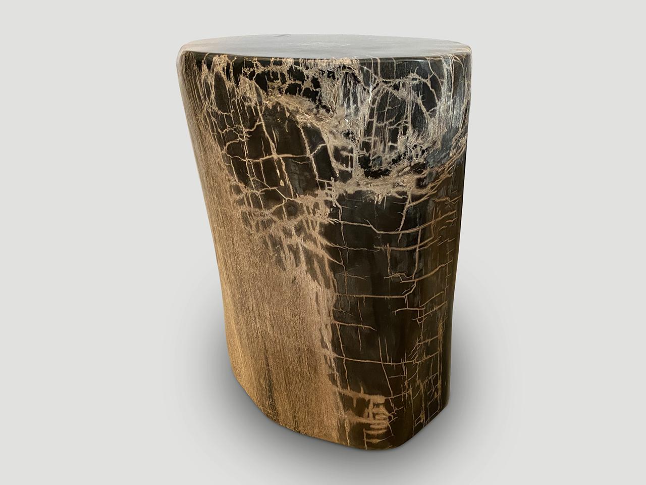 Rare beautiful tones and markings on this impressive high quality petrified wood side table. It’s fascinating how Mother Nature produces these exquisite 40 million year old petrified teak logs with such contrasting colors and natural patterns