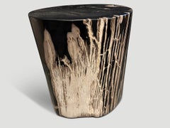 Andrianna Shamaris Exquisite High Quality Petrified Wood Side Table
