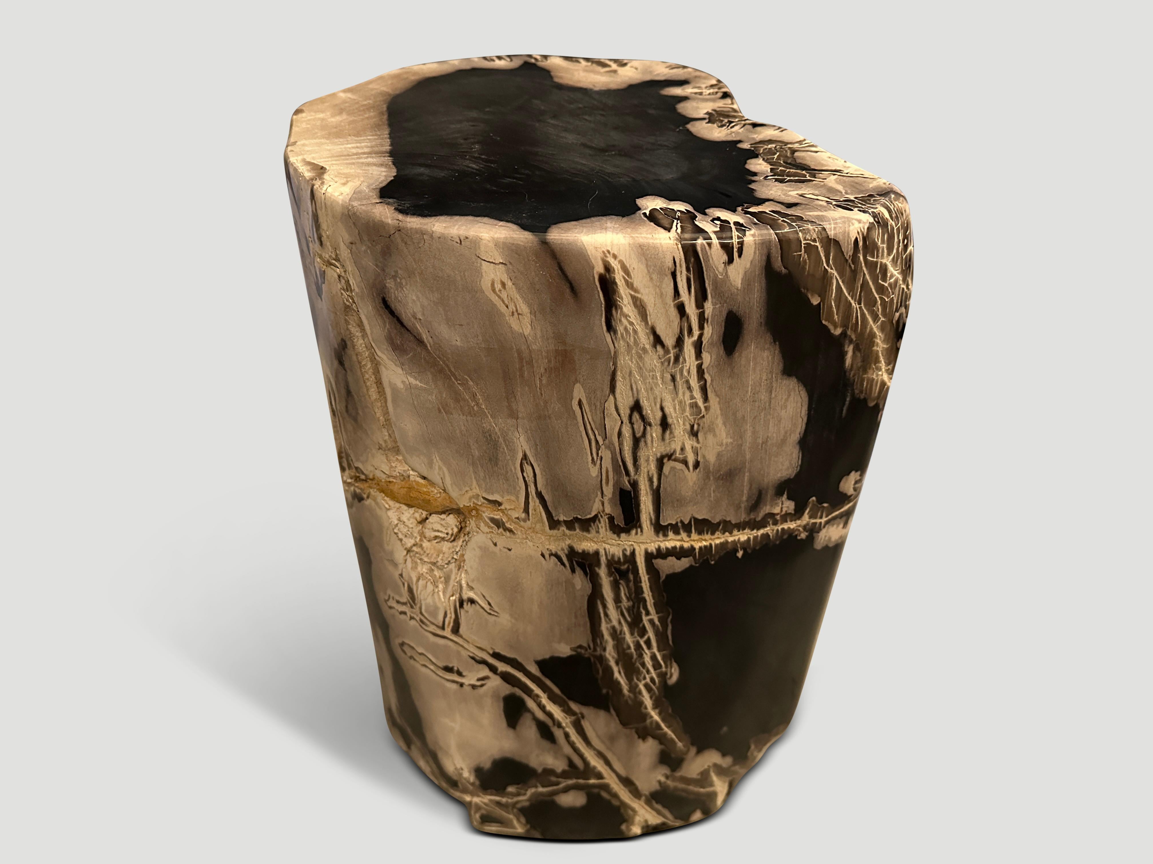 Beautiful tones and markings on this impressive high quality petrified wood side table. It’s fascinating how Mother Nature produces these exquisite 40 million year old petrified teak logs with such contrasting colors and natural patterns throughout.