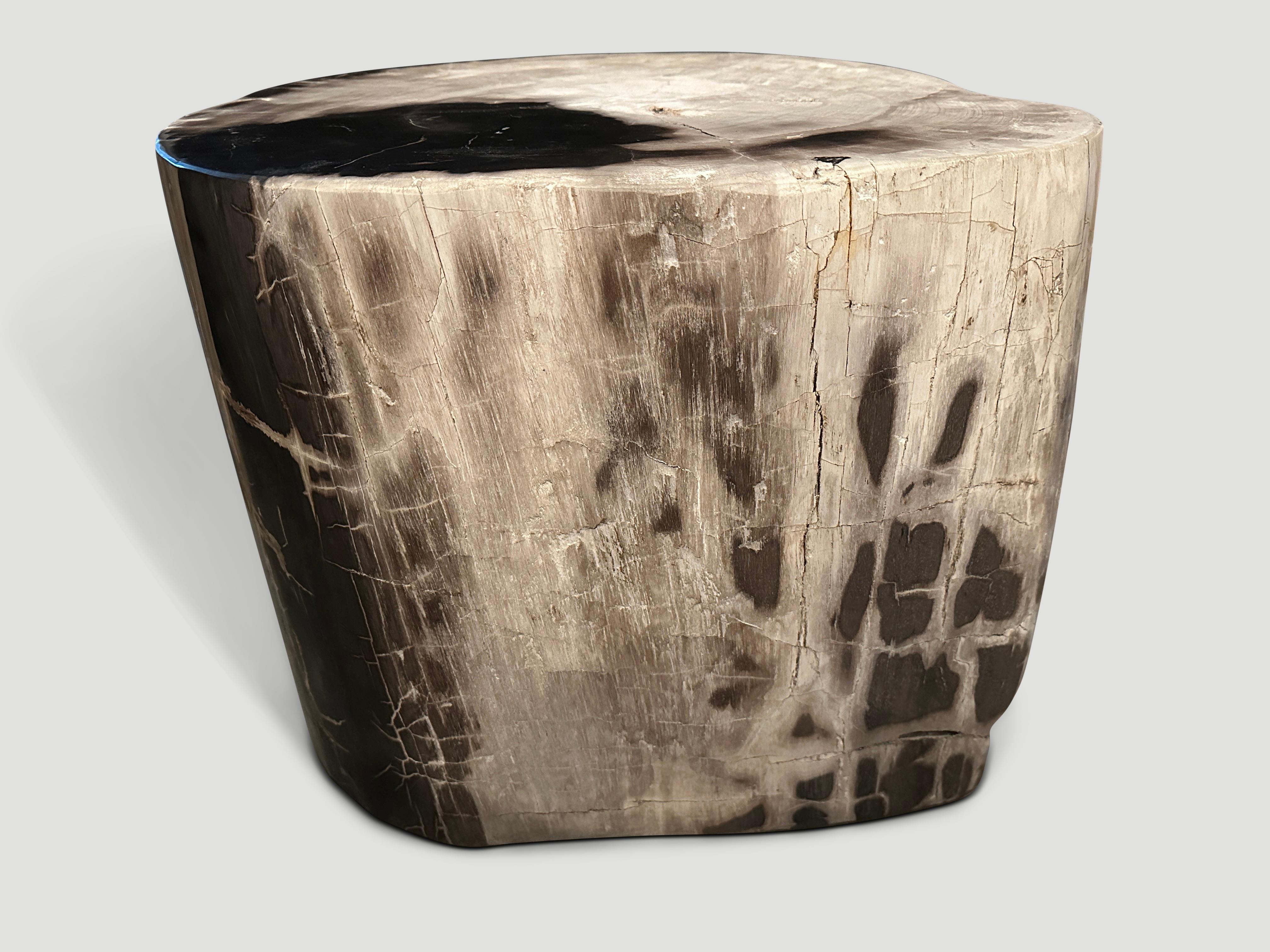 Beautiful dramatic tones and markings on this impressive high quality petrified wood ancient side table. It’s fascinating how Mother Nature produces these exquisite 40 million year old petrified teak logs with such contrasting colors and natural