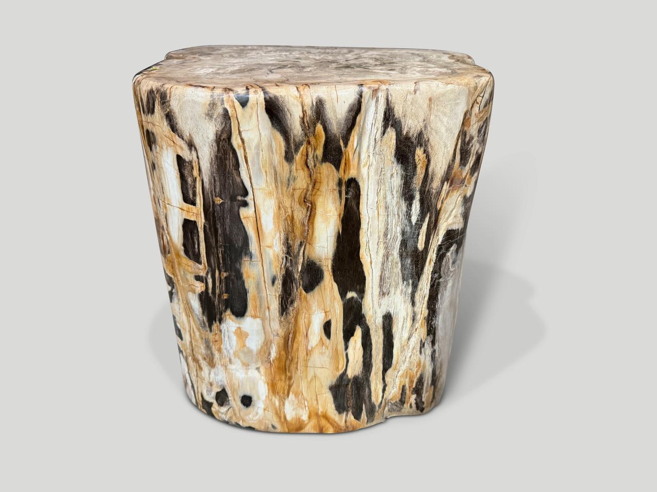 Impressive beautiful tones on this high quality petrified wood side table. It’s fascinating how Mother Nature produces these stunning 40 million year old petrified teak logs with such contrasting colors and natural patterns throughout. Modern yet
