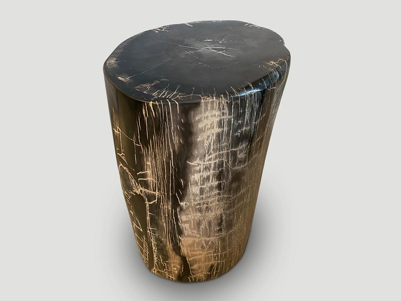 Organic Modern Andrianna Shamaris Exquisite High Quality Petrified Wood Side Table For Sale