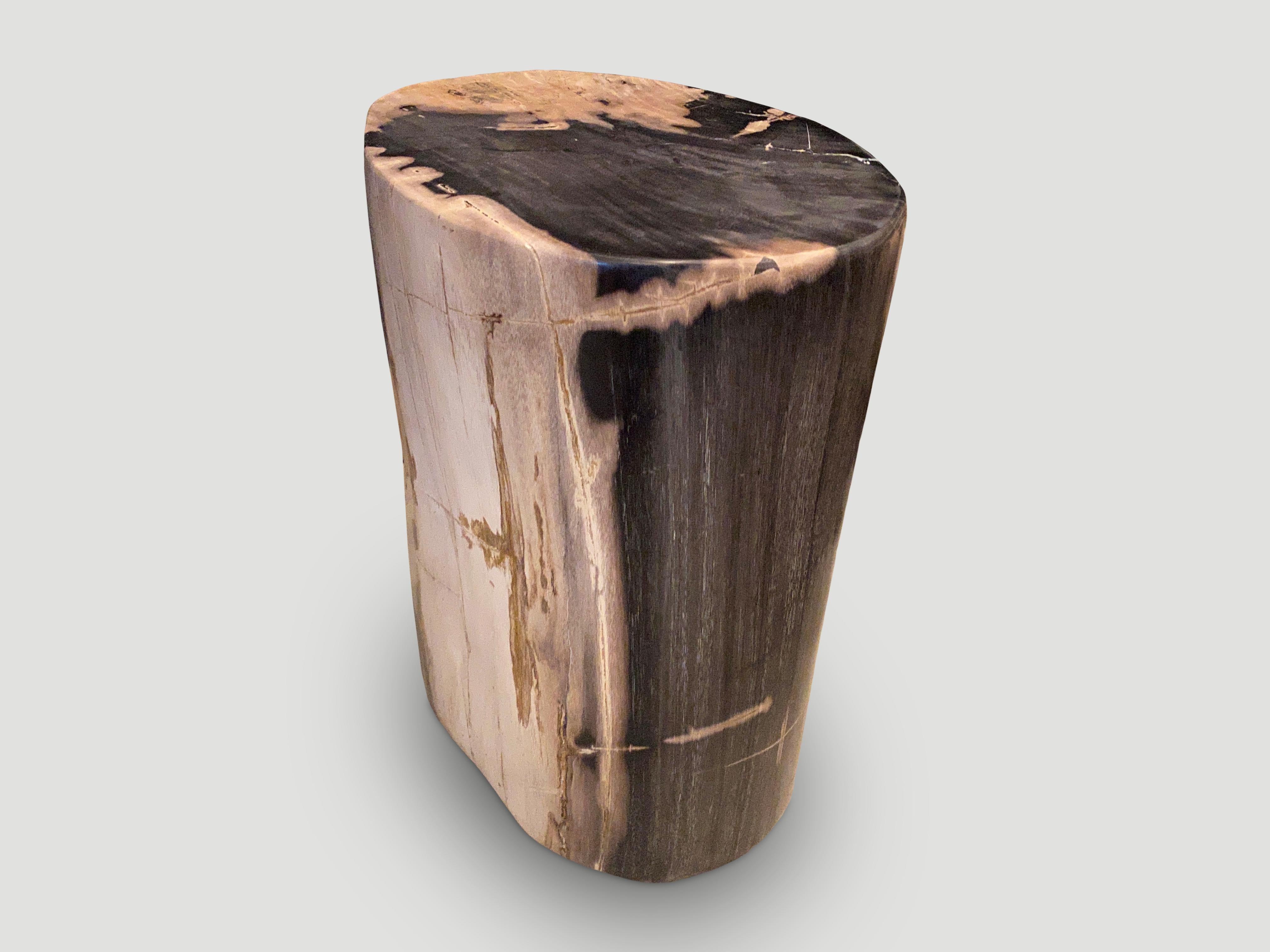 Organic Modern Andrianna Shamaris Exquisite High Quality Petrified Wood Side Table For Sale