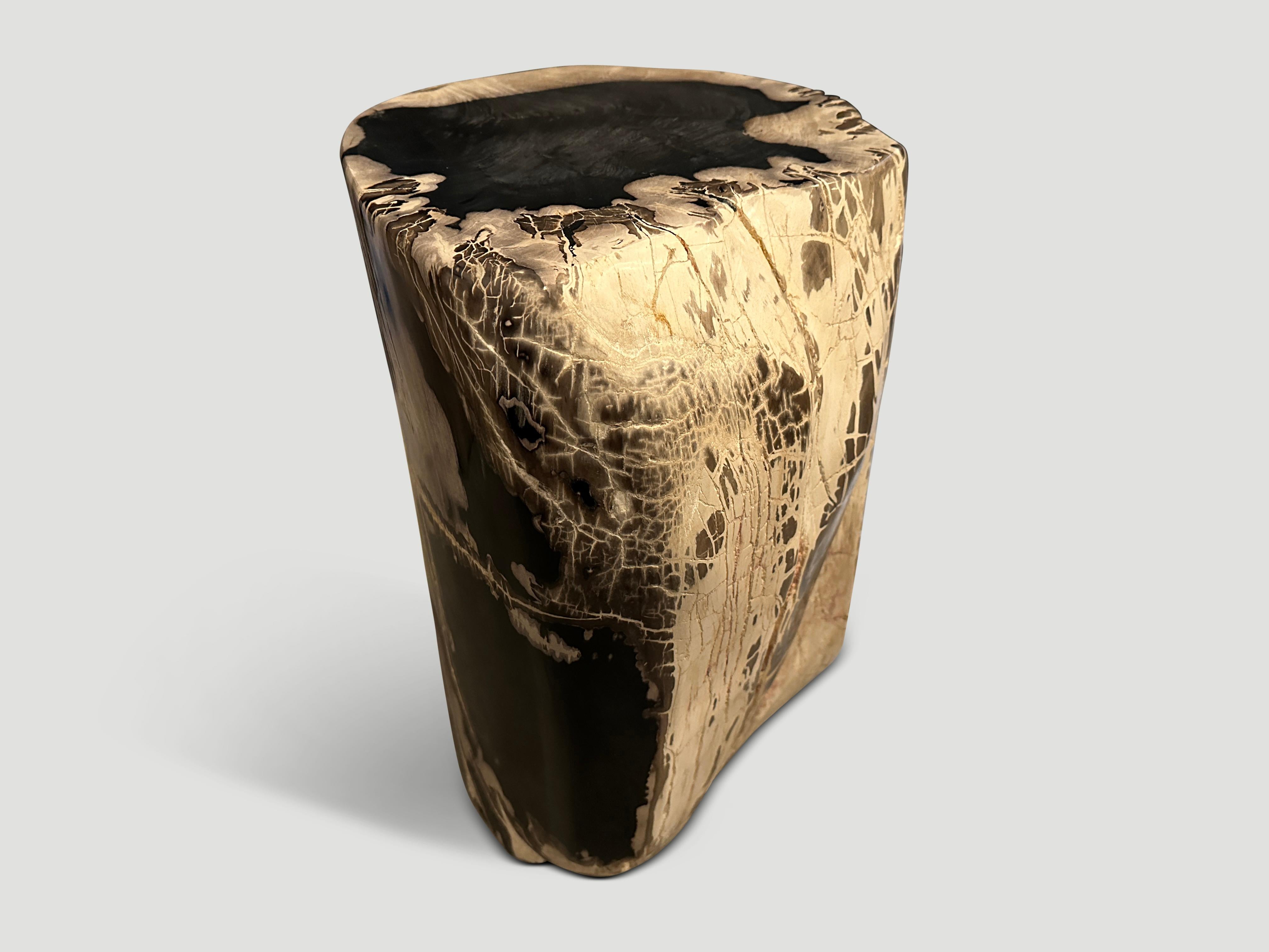 Organic Modern Andrianna Shamaris Exquisite High Quality Petrified Wood Side Table For Sale