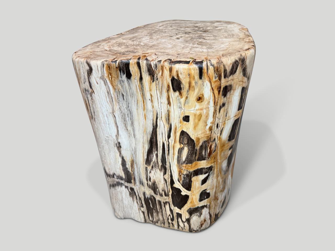 Organic Modern Andrianna Shamaris Exquisite High Quality Petrified Wood Side Table For Sale
