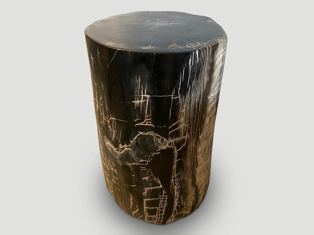 Andrianna Shamaris Exquisite High Quality Petrified Wood Side Table In Excellent Condition For Sale In New York, NY