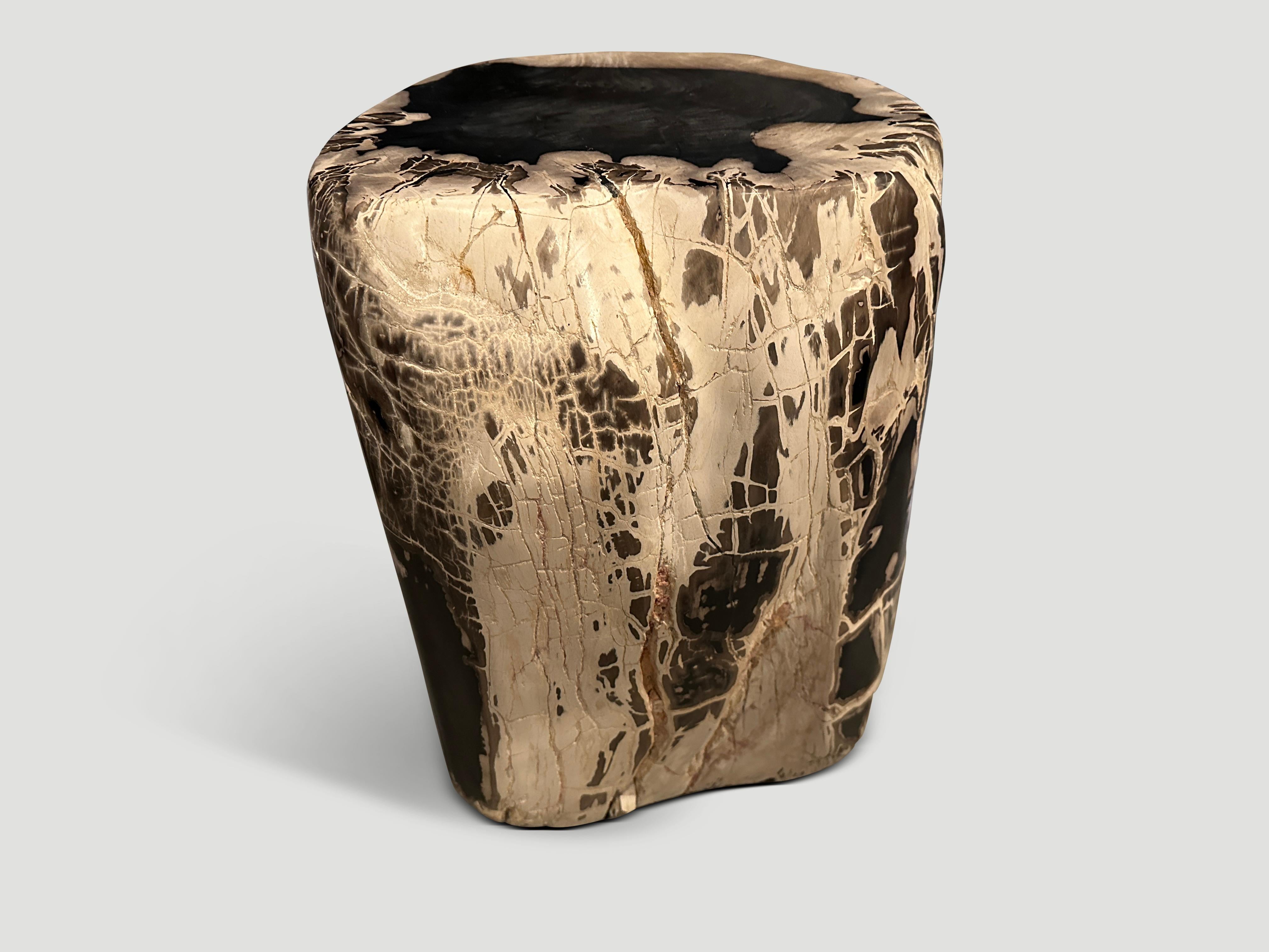 Andrianna Shamaris Exquisite High Quality Petrified Wood Side Table In Excellent Condition For Sale In New York, NY