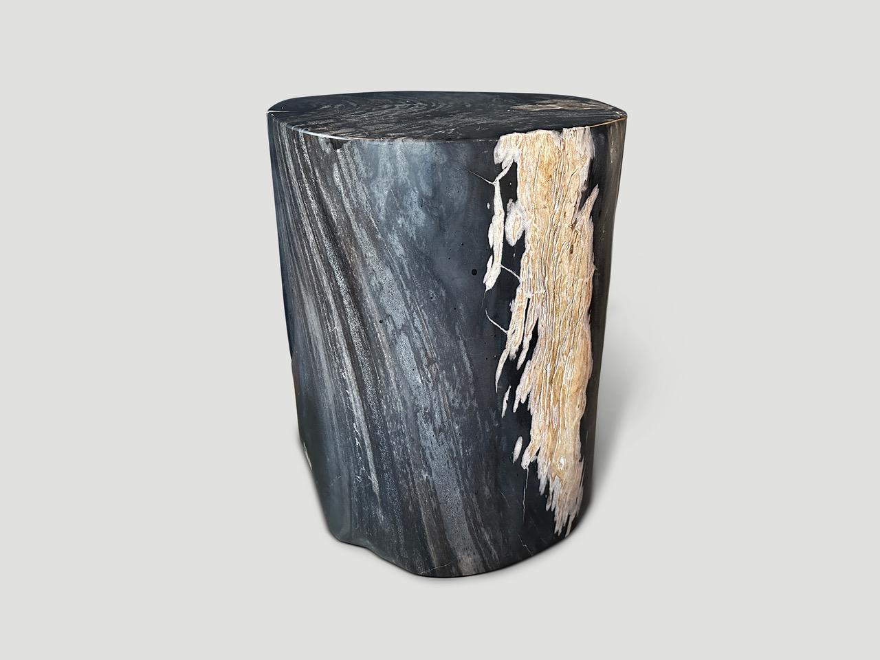Indonesian Andrianna Shamaris Exquisite High Quality Petrified Wood Side Table  For Sale