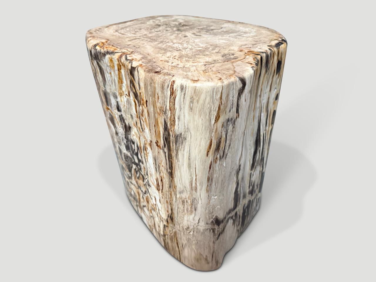 Andrianna Shamaris Exquisite High Quality Petrified Wood Side Table In Excellent Condition For Sale In New York, NY