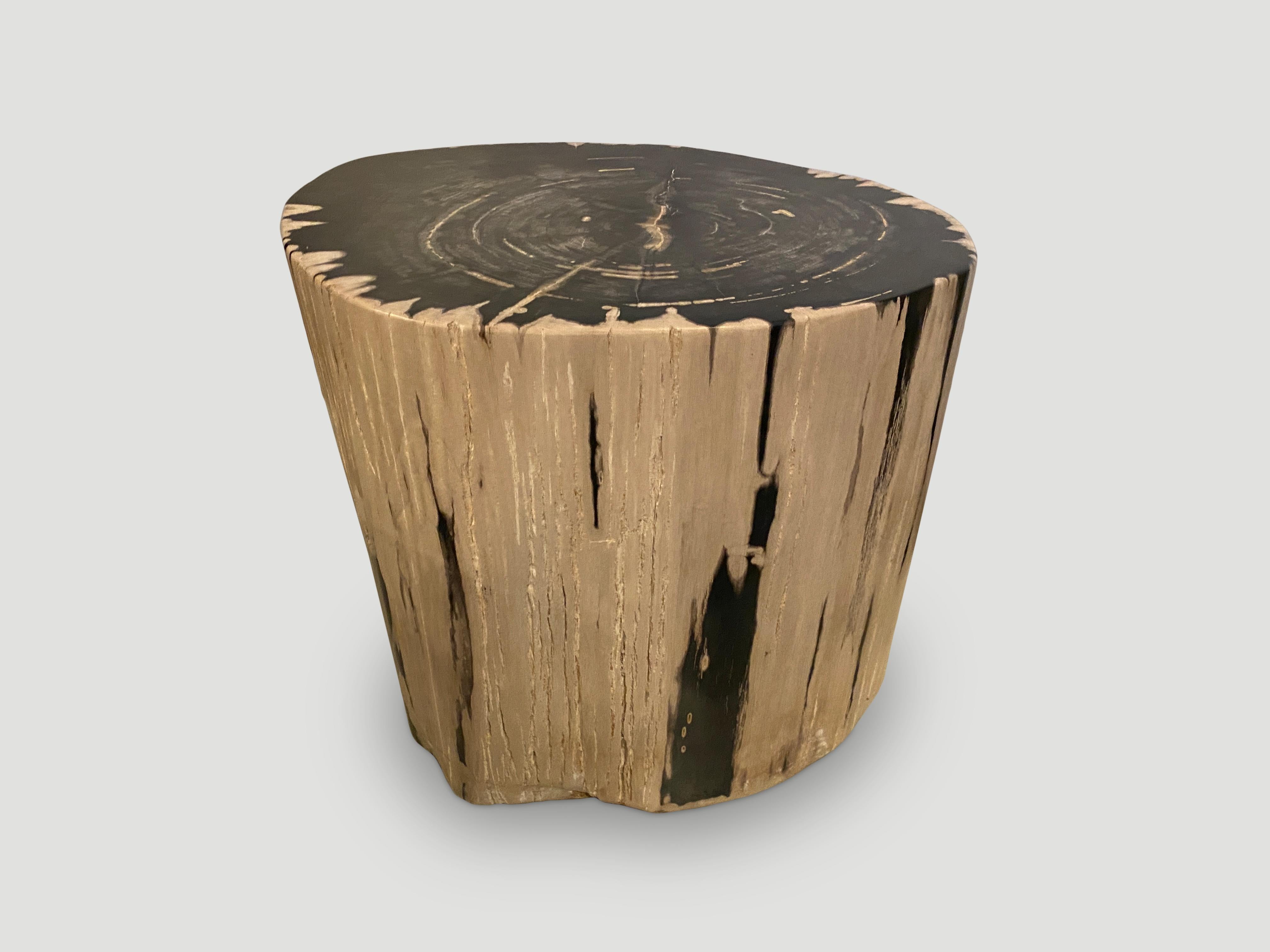 Contemporary Andrianna Shamaris Exquisite High Quality Petrified Wood Side Table For Sale