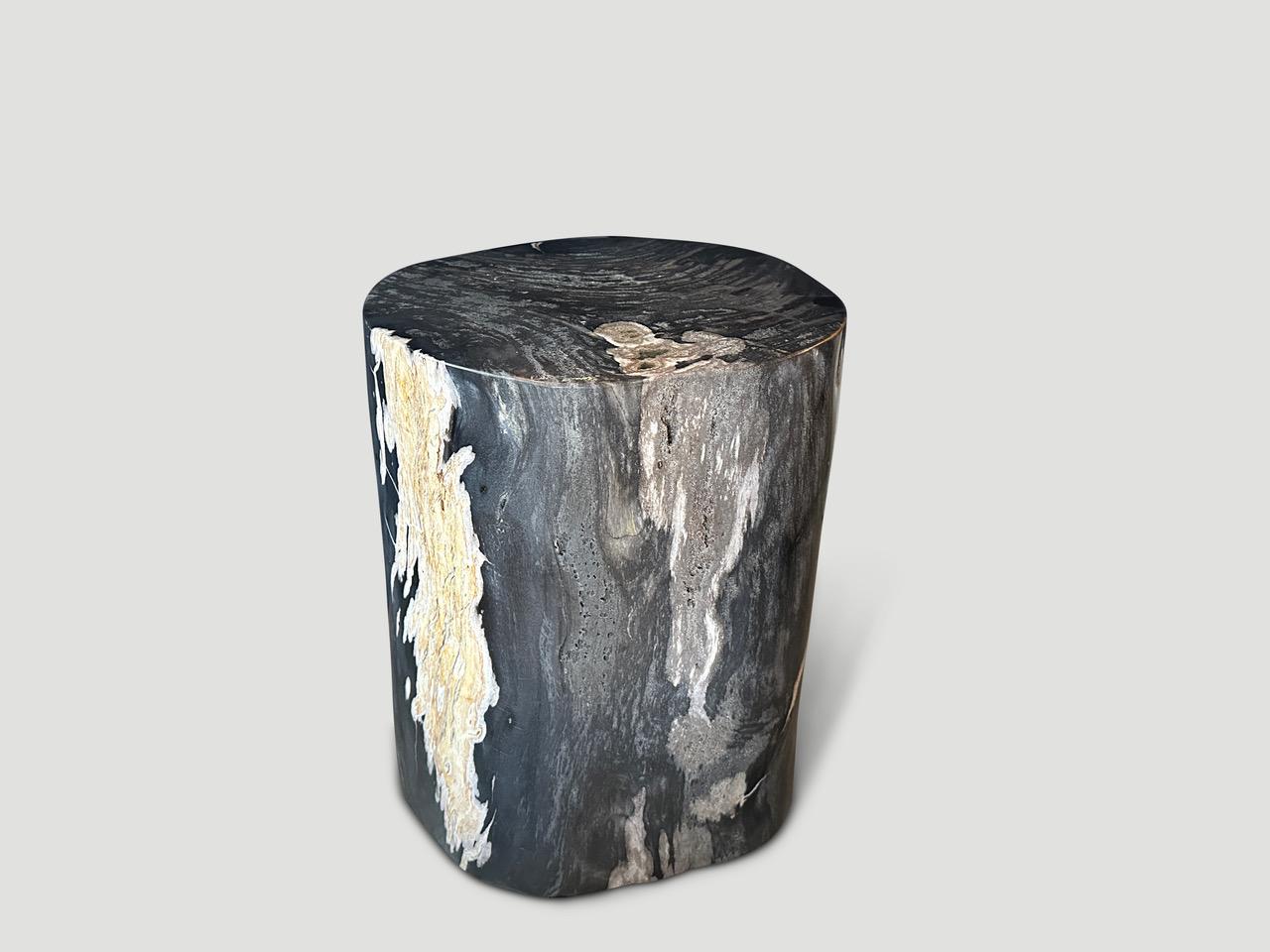 Andrianna Shamaris Exquisite High Quality Petrified Wood Side Table  In Excellent Condition For Sale In New York, NY