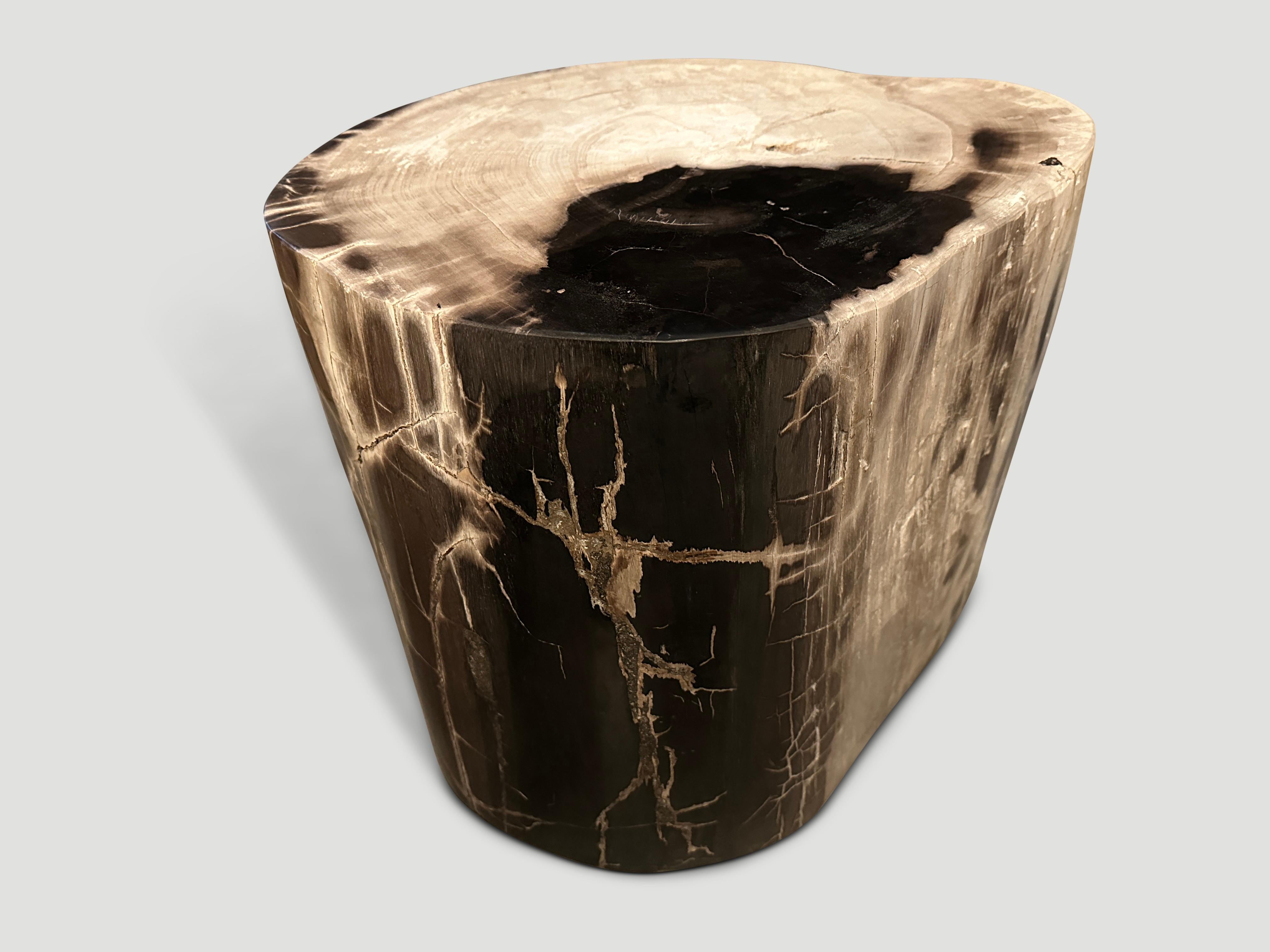 Contemporary Andrianna Shamaris Exquisite High Quality Petrified Wood Side Table For Sale