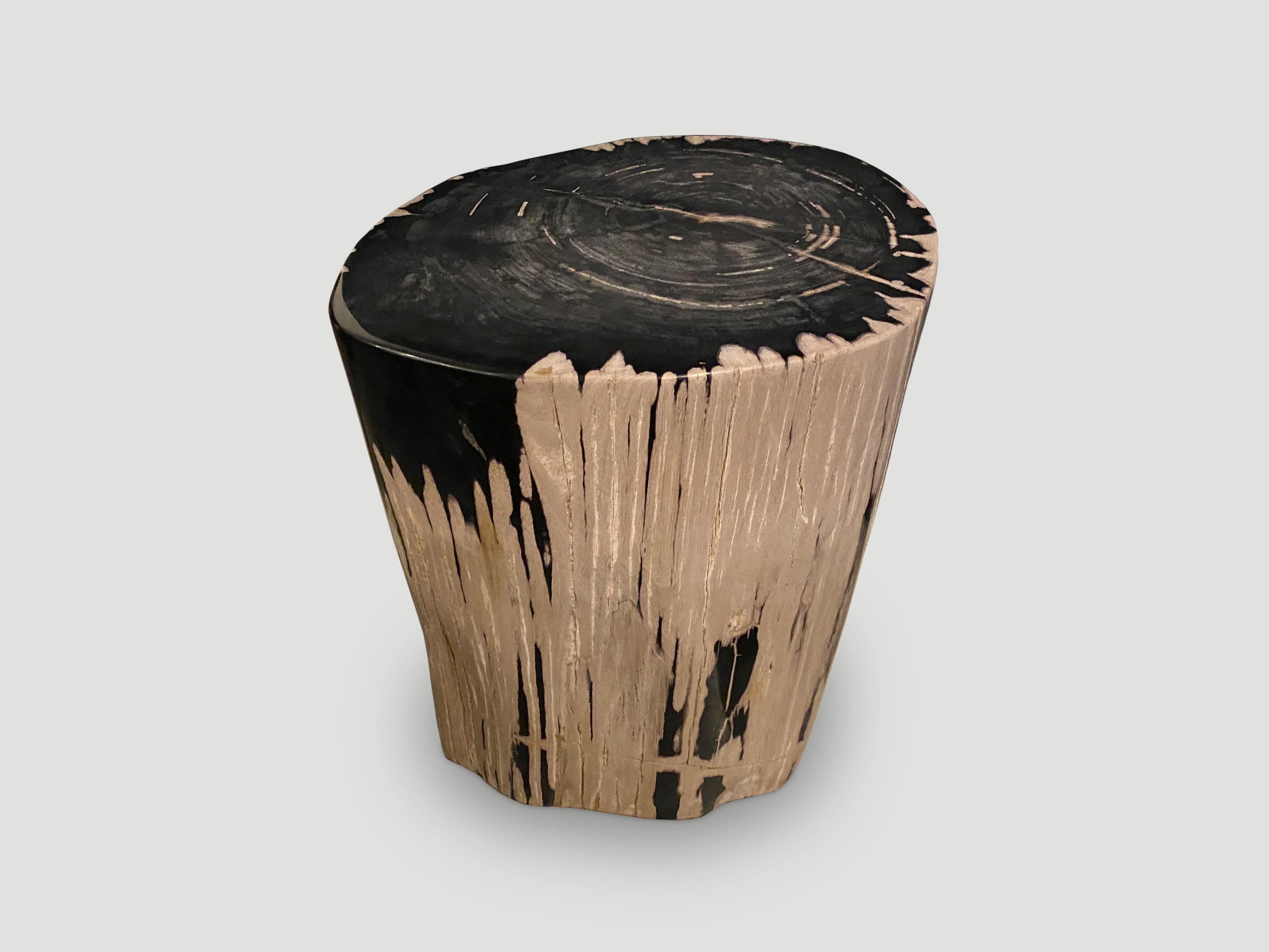 Andrianna Shamaris Exquisite High Quality Petrified Wood Side Table For Sale 1