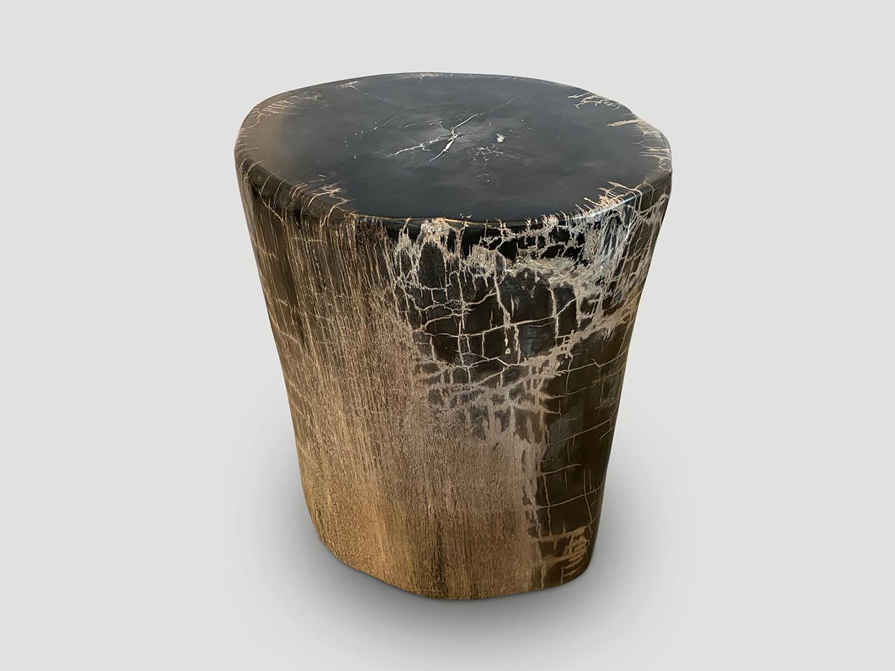 Andrianna Shamaris Exquisite High Quality Petrified Wood Side Table For Sale 1