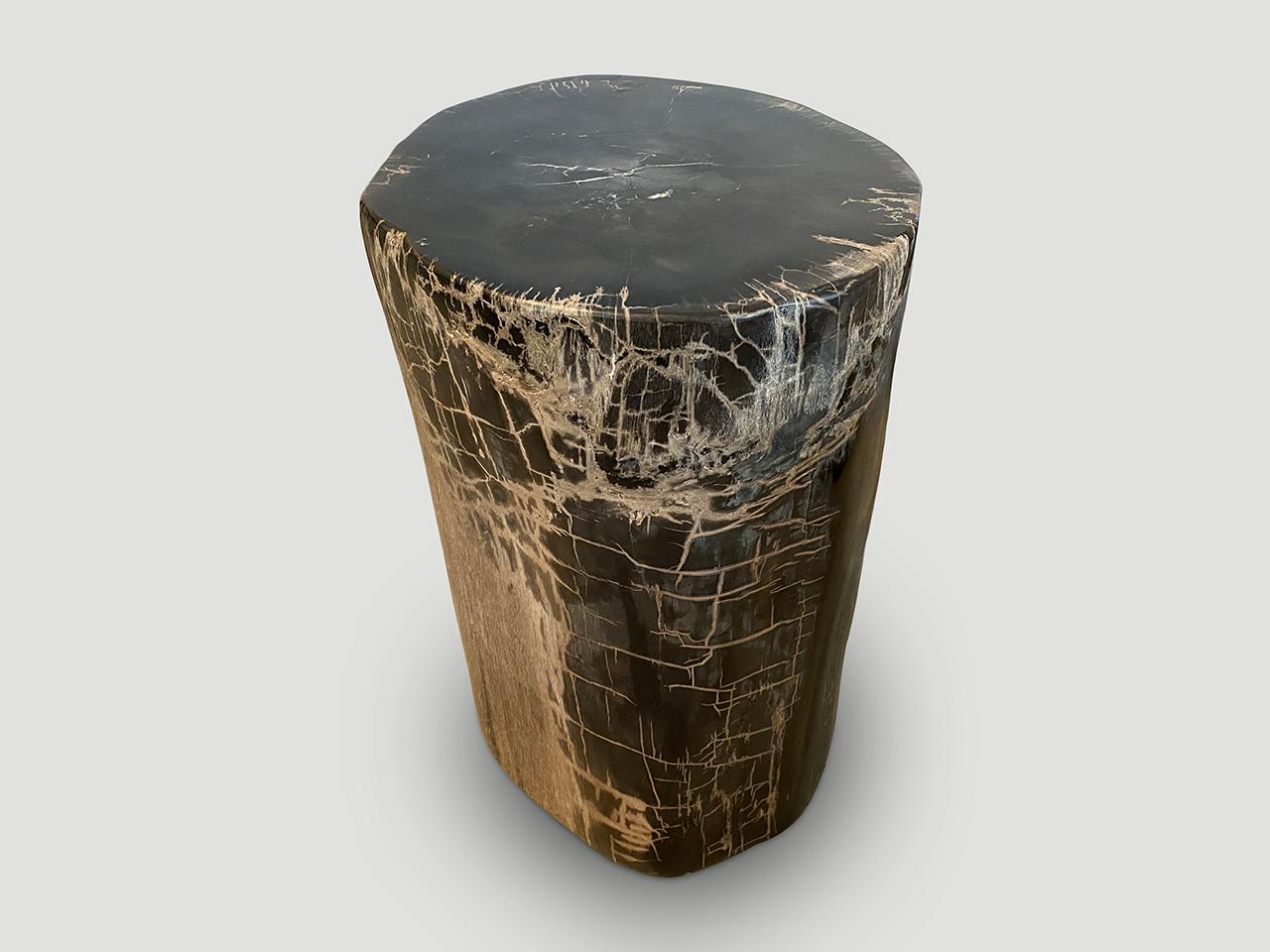 Andrianna Shamaris Exquisite High Quality Petrified Wood Side Table For Sale 2