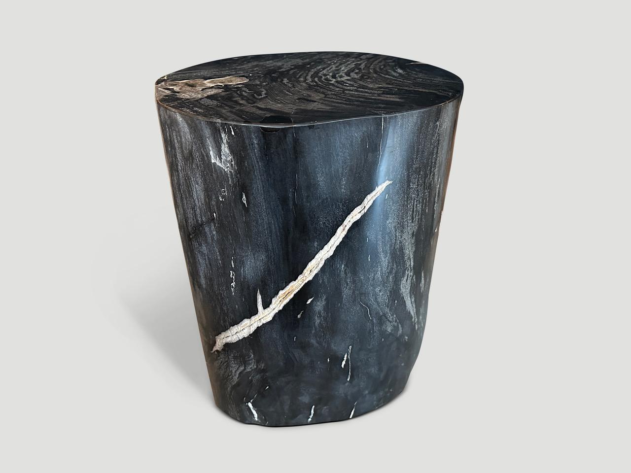 Andrianna Shamaris Exquisite High Quality Petrified Wood Side Table  For Sale 1