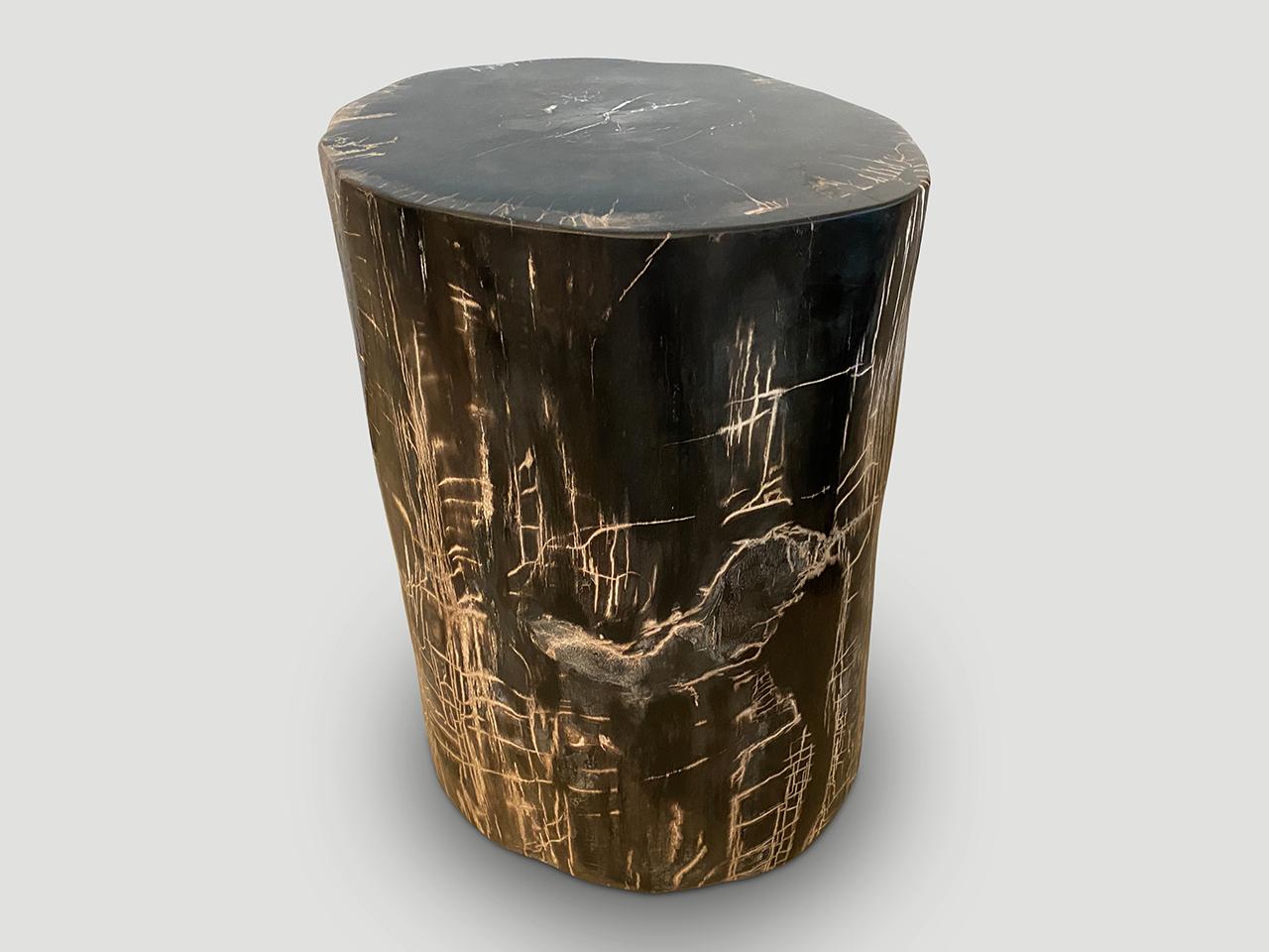 Andrianna Shamaris Exquisite High Quality Petrified Wood Side Table For Sale 3