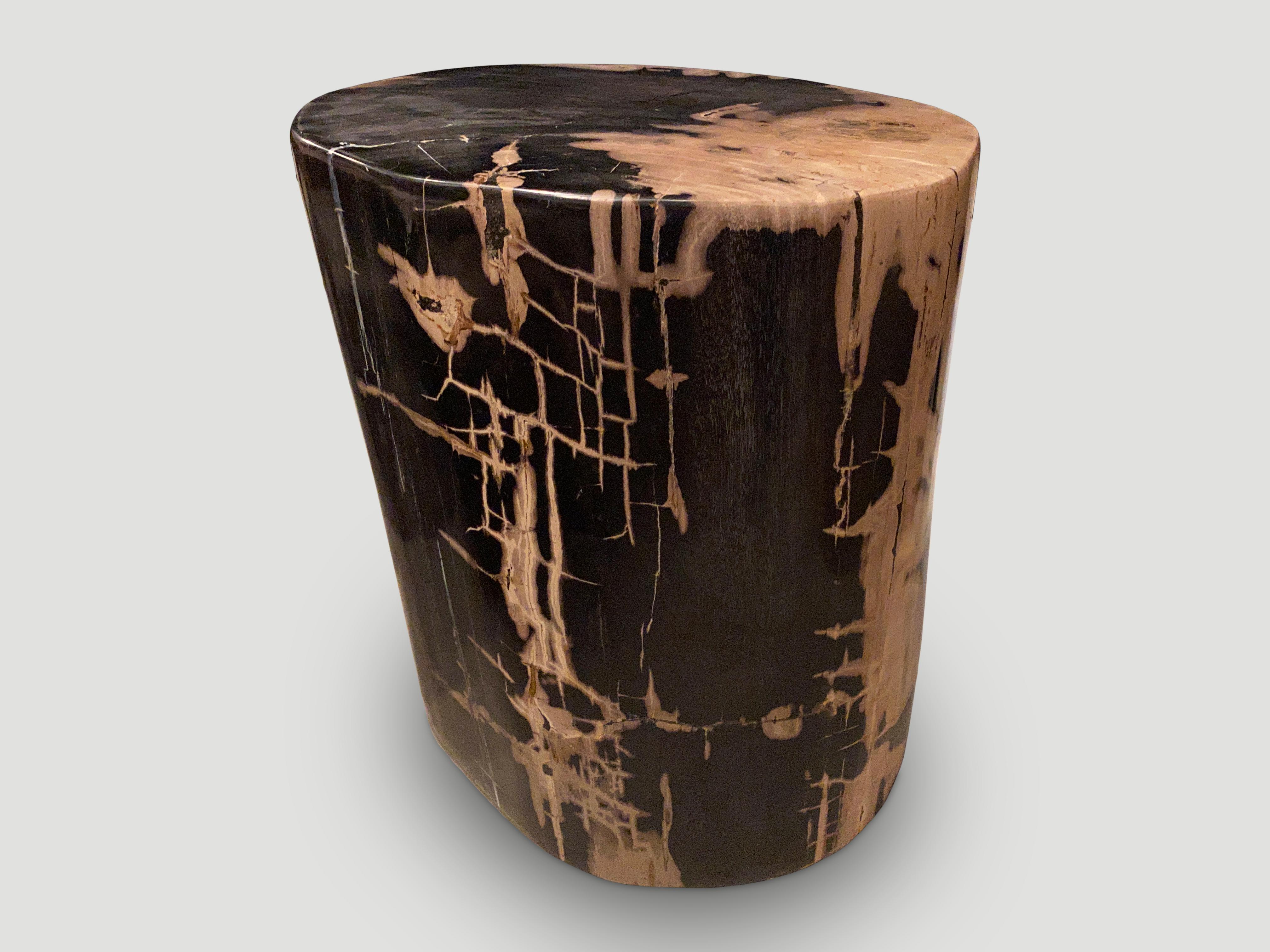 Andrianna Shamaris Exquisite High Quality Petrified Wood Side Table For Sale 3