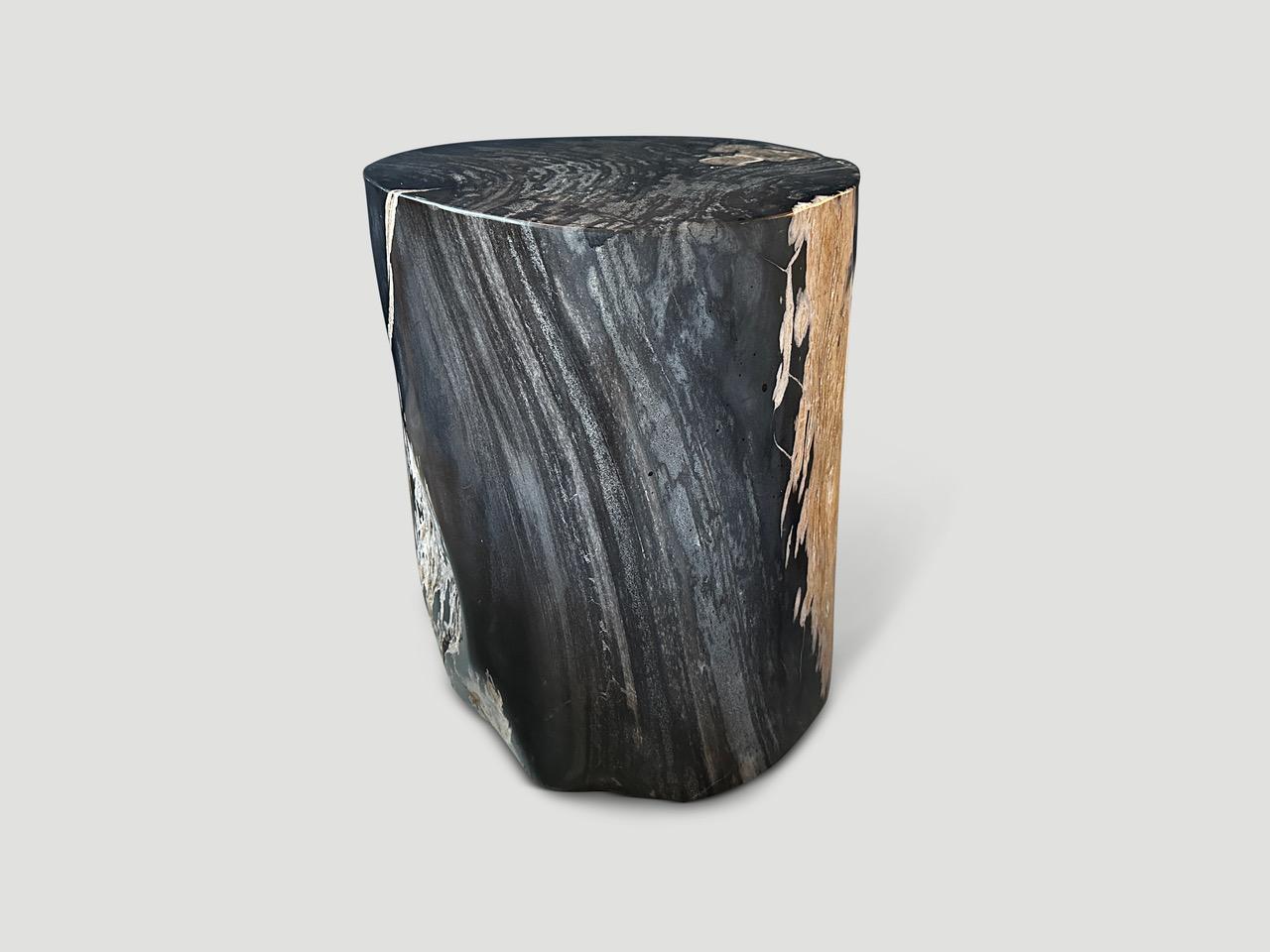 Andrianna Shamaris Exquisite High Quality Petrified Wood Side Table  For Sale 2