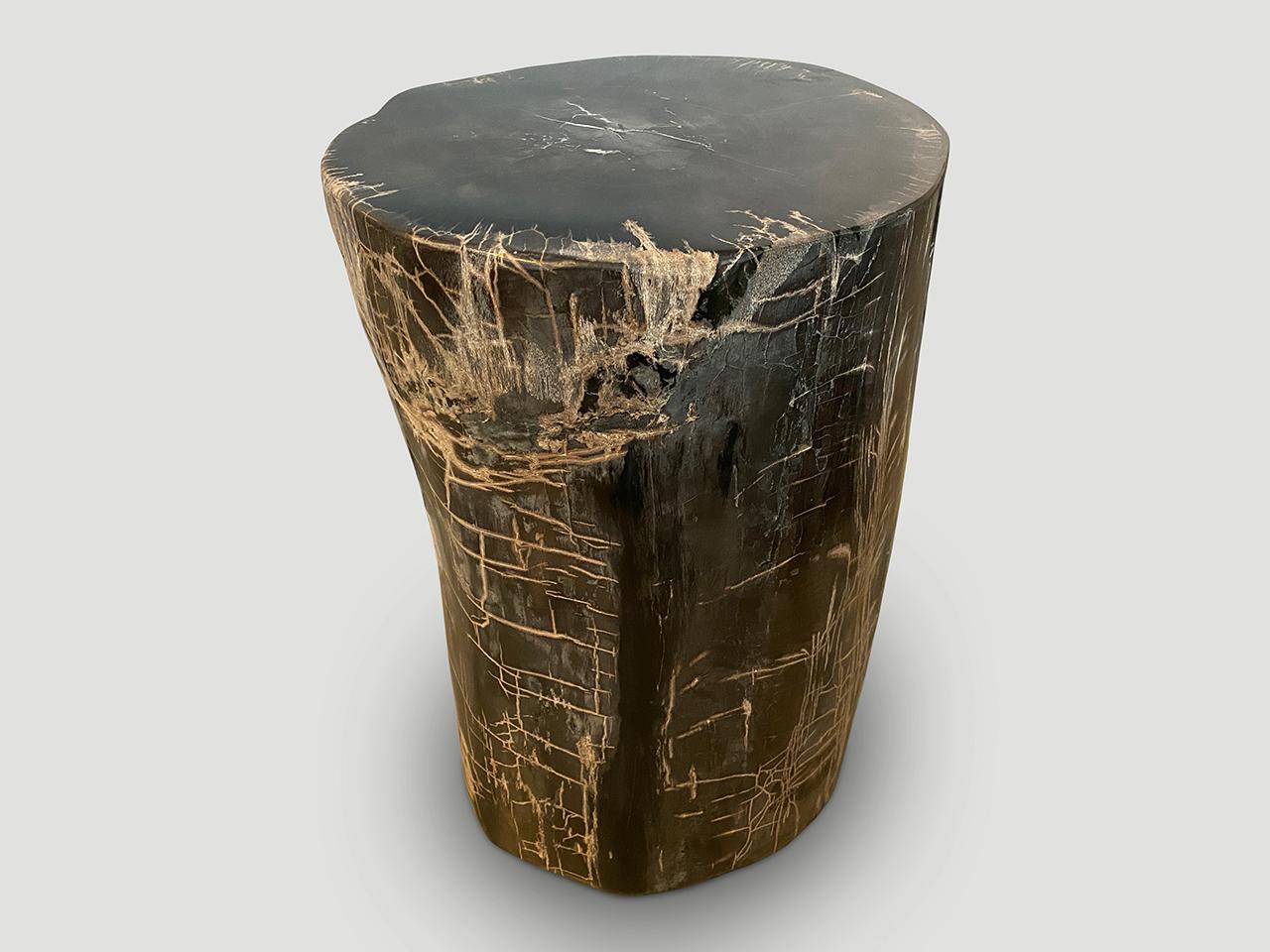 Andrianna Shamaris Exquisite High Quality Petrified Wood Side Table For Sale 4