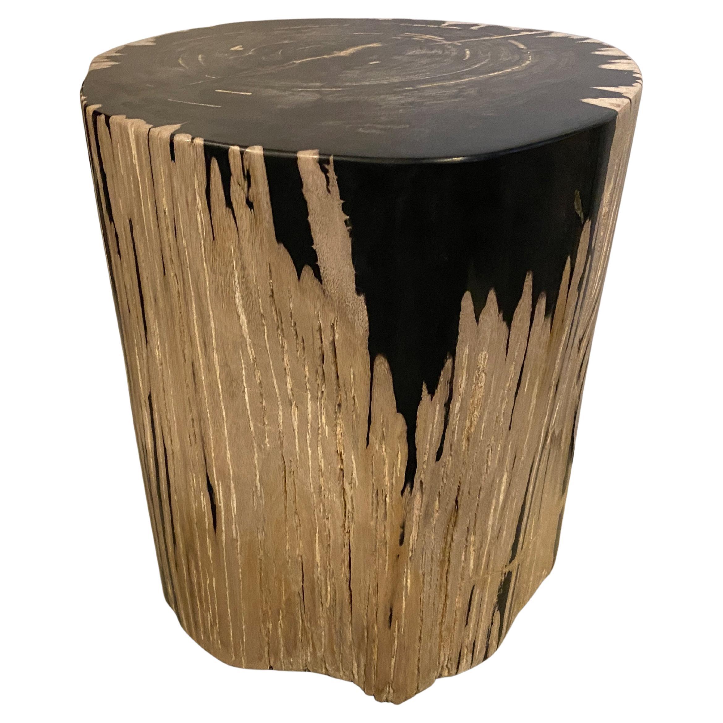 Andrianna Shamaris Exquisite High Quality Petrified Wood Side Table