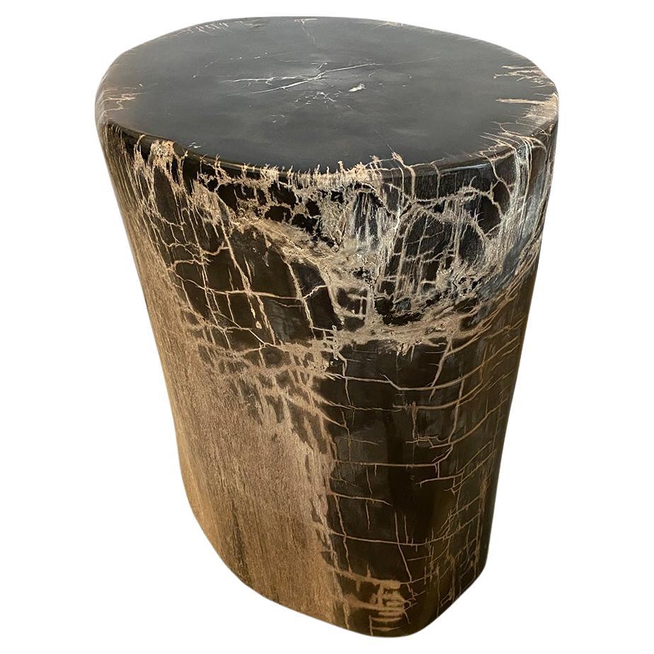 Andrianna Shamaris Exquisite High Quality Petrified Wood Side Table