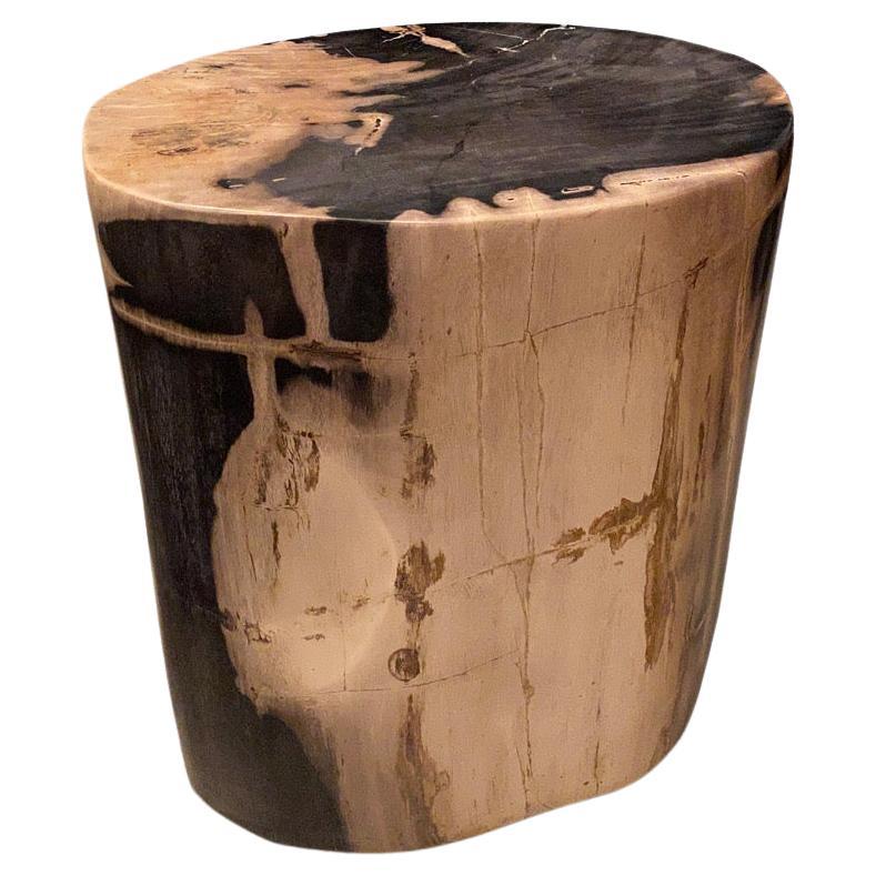 Andrianna Shamaris Exquisite High Quality Petrified Wood Side Table For Sale