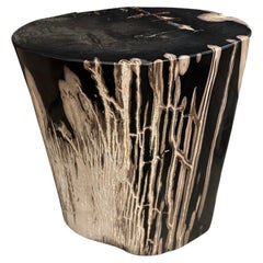 Andrianna Shamaris Exquisite High Quality Petrified Wood Side Table Andrianna Shamaris Exquisite High Quality Petrified Wood Side Table