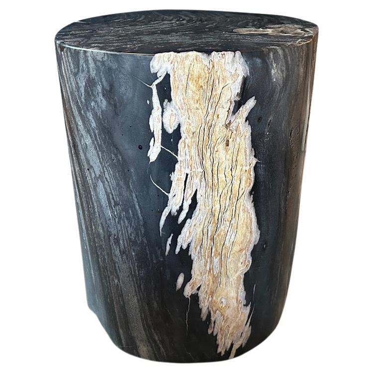 Andrianna Shamaris Exquisite High Quality Petrified Wood Side Table  For Sale