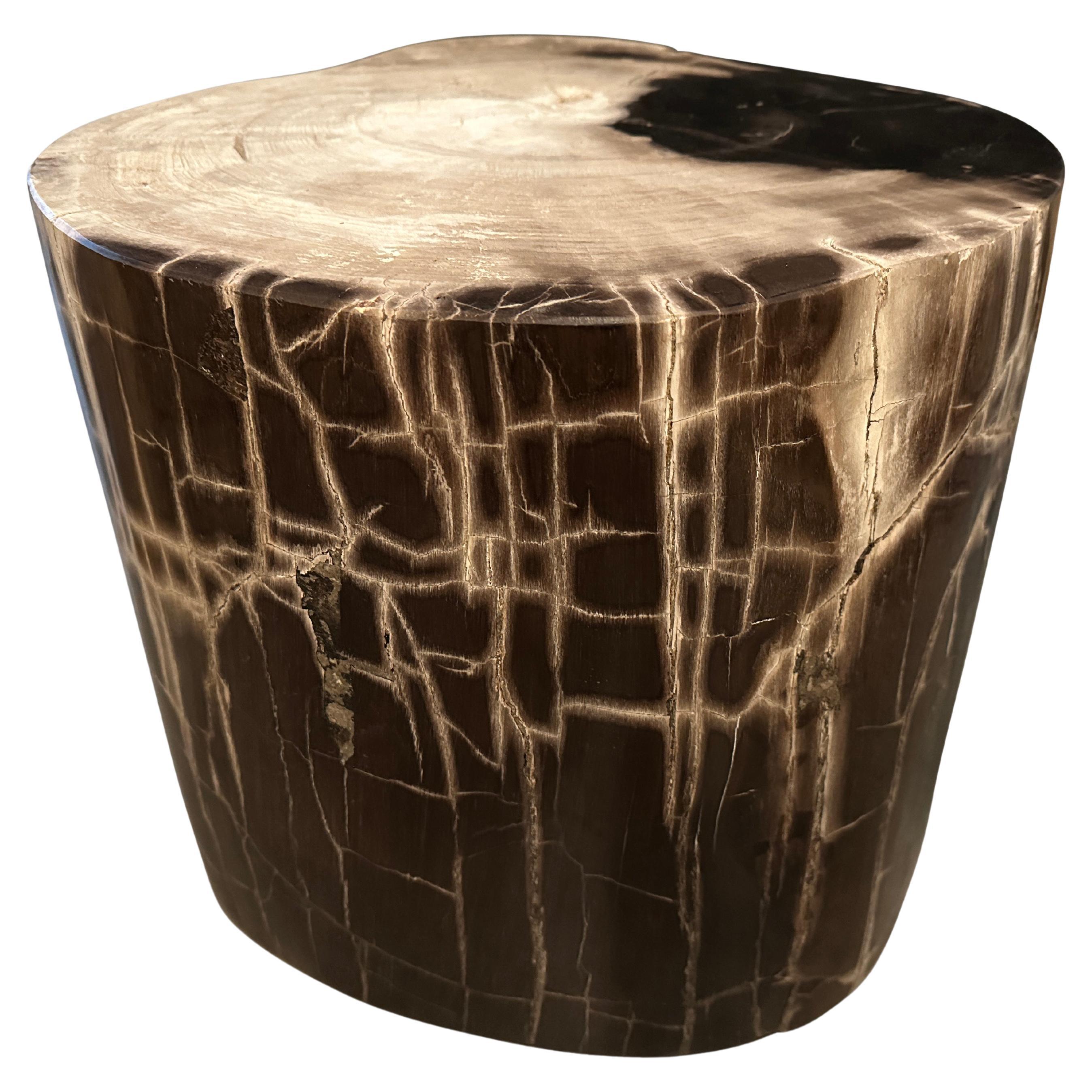 Andrianna Shamaris Exquisite High Quality Petrified Wood Side Table For Sale