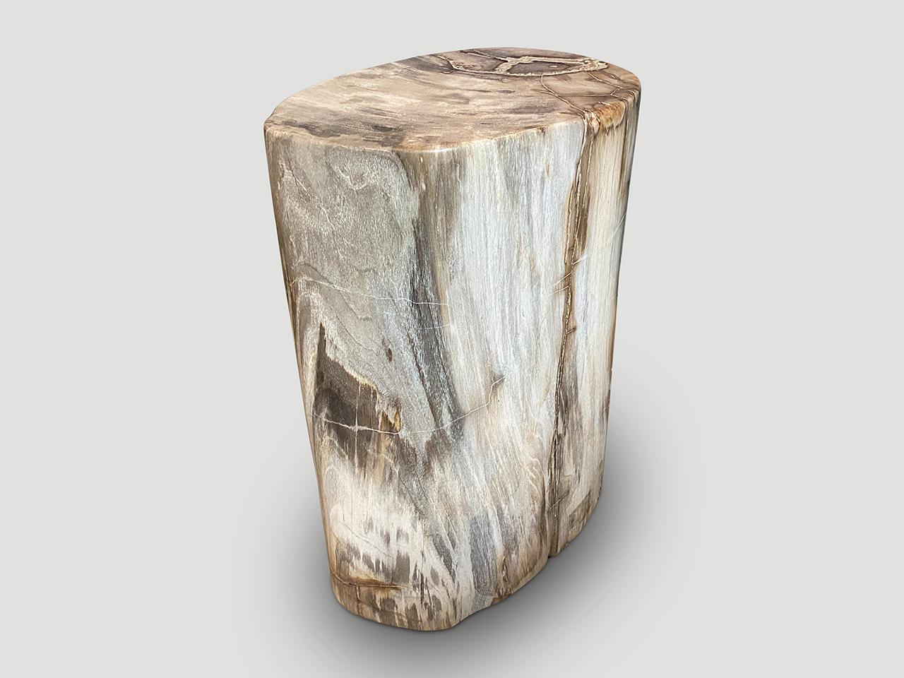 Andrianna Shamaris Exquisite High Quality Petrified Wood Side Table or Pedestal 4