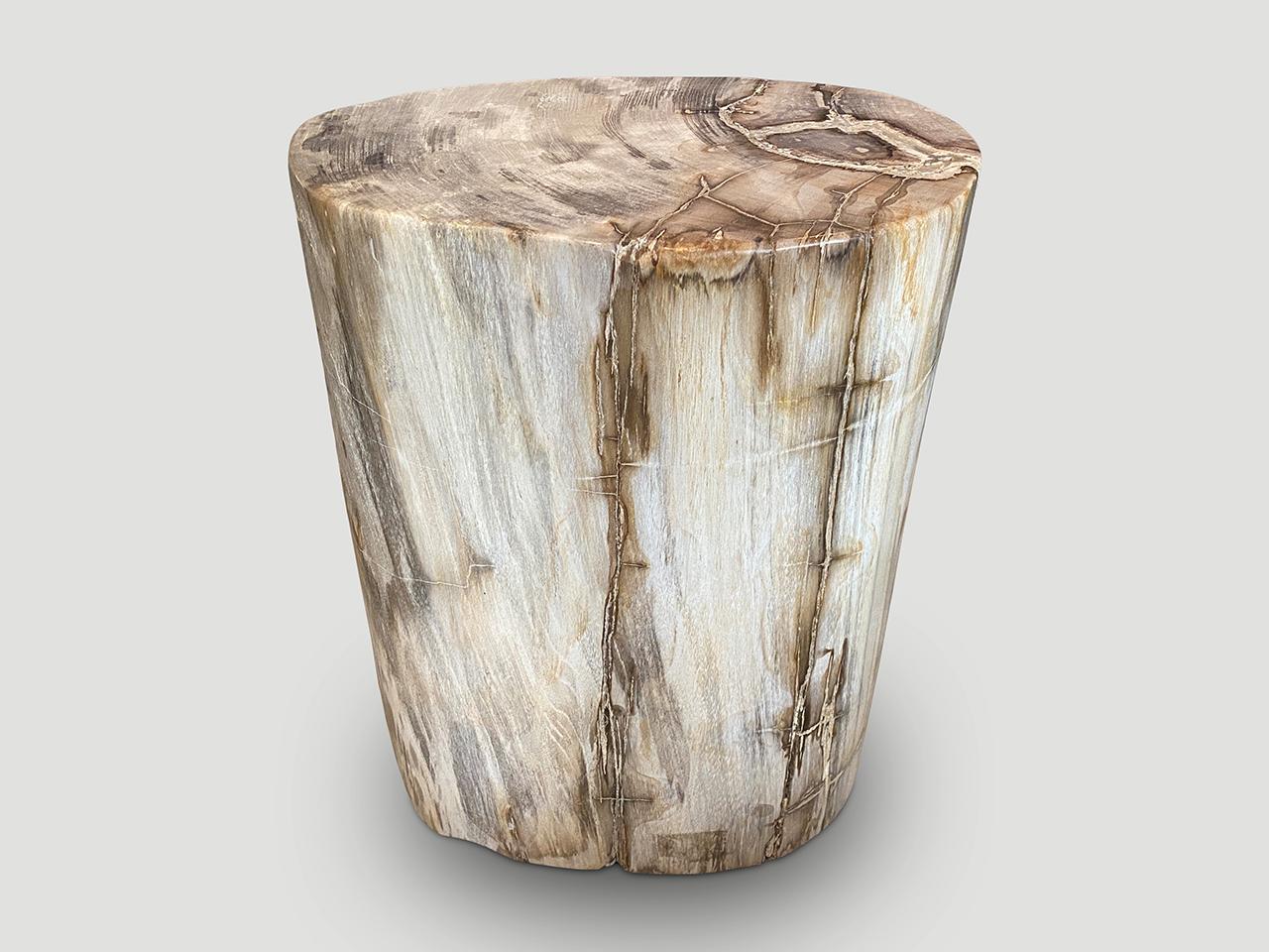 Stunning contrasting tones and markings on this impressive high quality petrified wood side table. This is a very unique piece with beautiful crystals embedded on the side. 

It’s fascinating how Mother Nature produces these exquisite 40 million