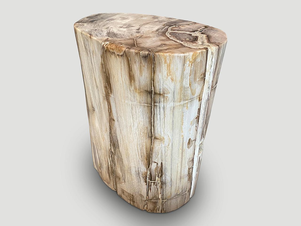 Organic Modern Andrianna Shamaris Exquisite High Quality Petrified Wood Side Table or Pedestal