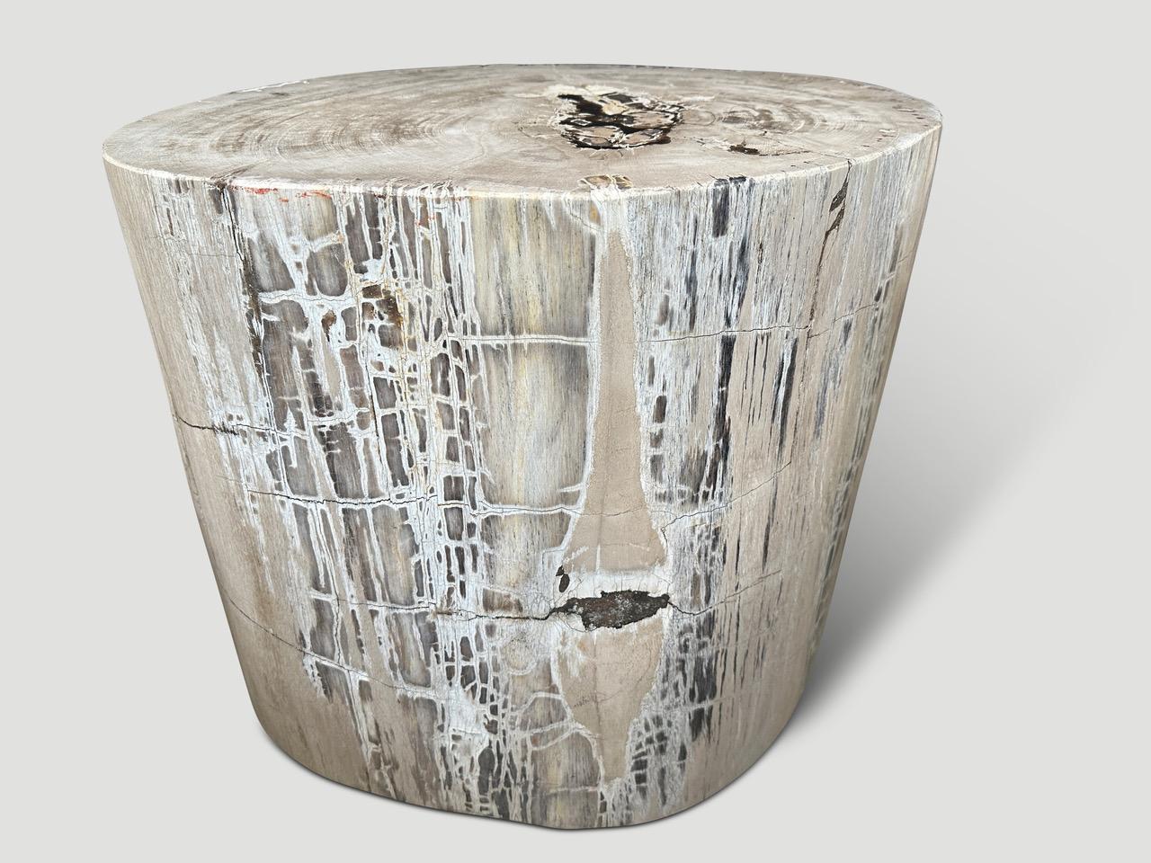 Organic Modern Andrianna Shamaris Exquisite High Quality Petrified Wood Side Table or Pedestal For Sale