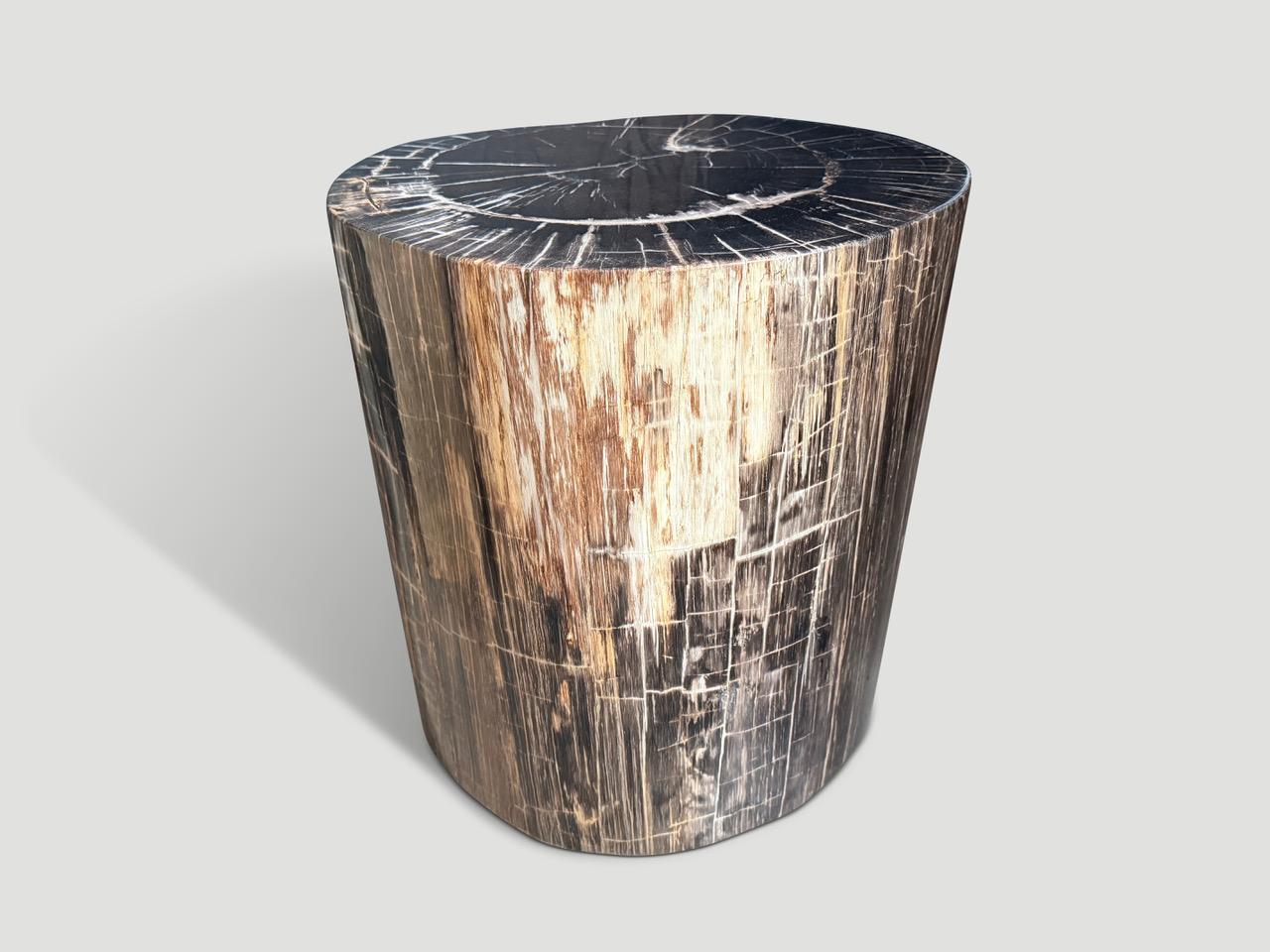 Organic Modern Andrianna Shamaris Exquisite High Quality Petrified Wood Side Table or Pedestal For Sale