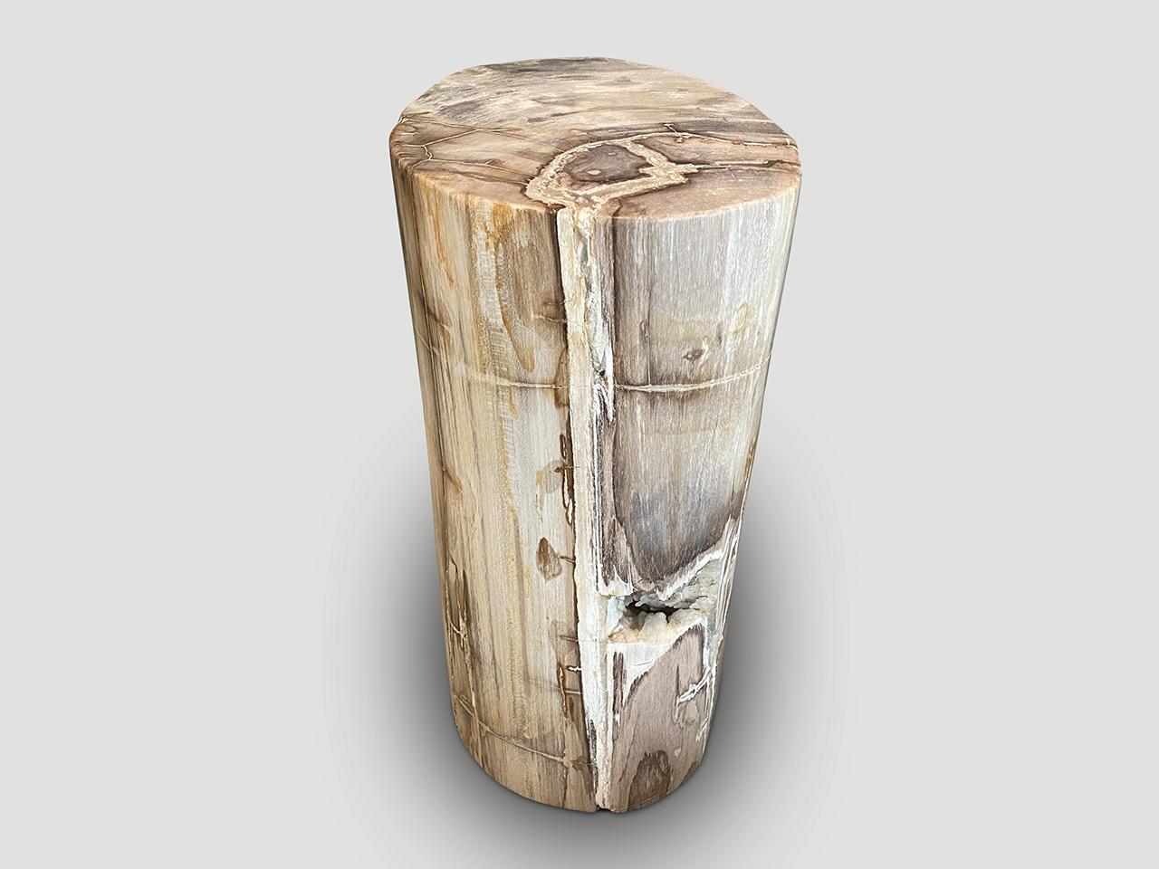 Andrianna Shamaris Exquisite High Quality Petrified Wood Side Table or Pedestal In Excellent Condition In New York, NY