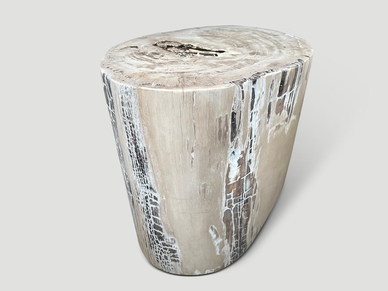 Andrianna Shamaris Exquisite High Quality Petrified Wood Side Table or Pedestal In Excellent Condition For Sale In New York, NY