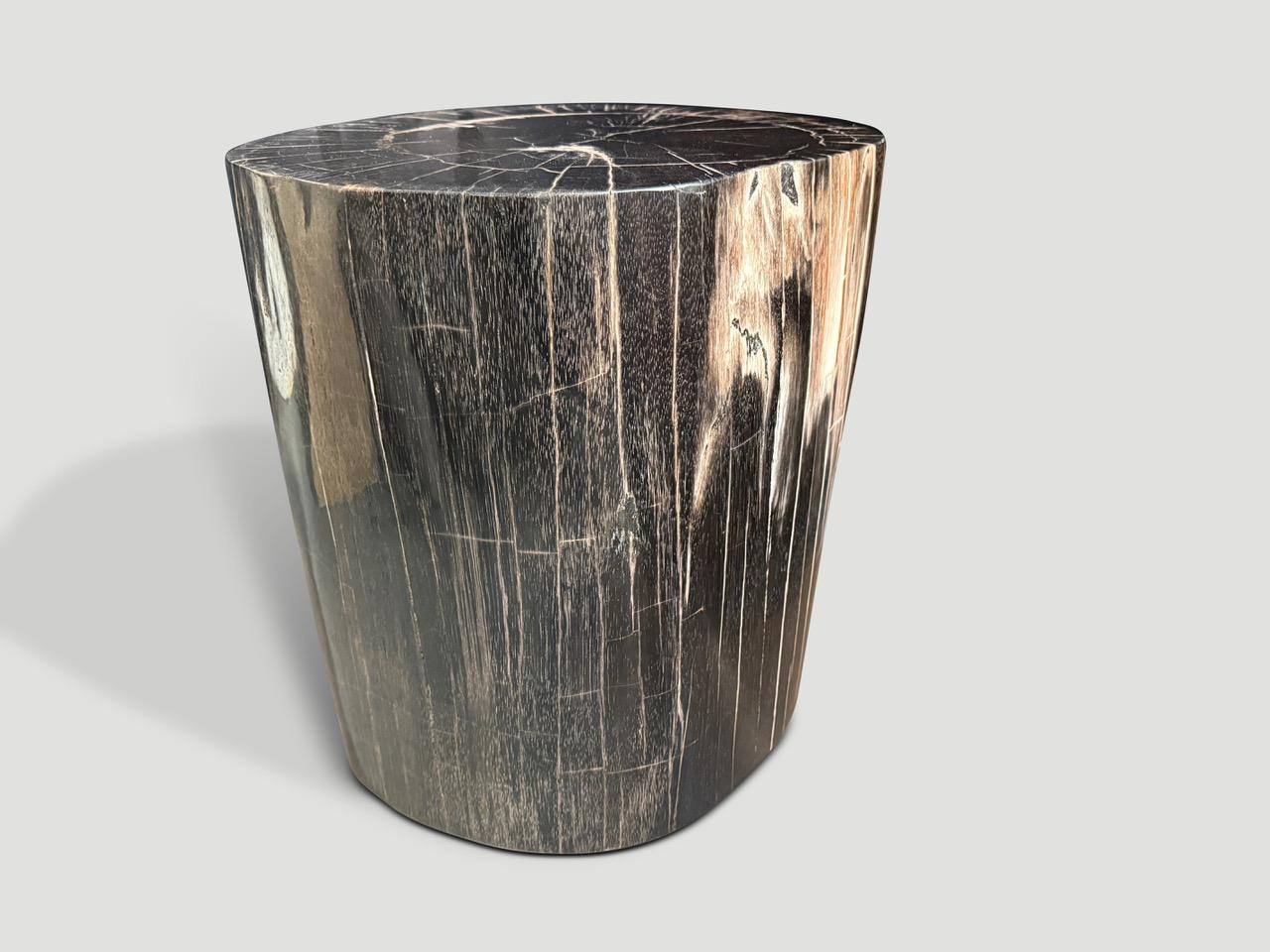 Andrianna Shamaris Exquisite High Quality Petrified Wood Side Table or Pedestal In Excellent Condition For Sale In New York, NY