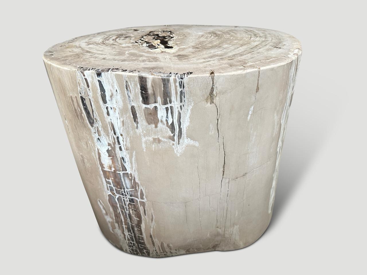 Contemporary Andrianna Shamaris Exquisite High Quality Petrified Wood Side Table or Pedestal For Sale