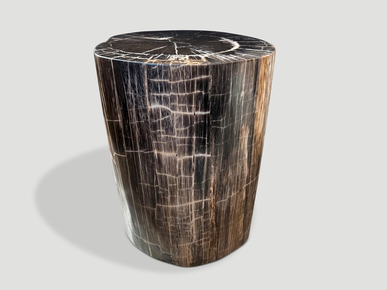 Contemporary Andrianna Shamaris Exquisite High Quality Petrified Wood Side Table or Pedestal For Sale