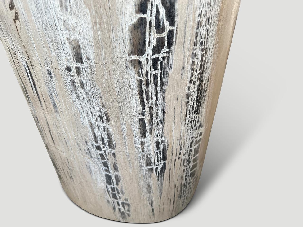 Andrianna Shamaris Exquisite High Quality Petrified Wood Side Table or Pedestal For Sale 1